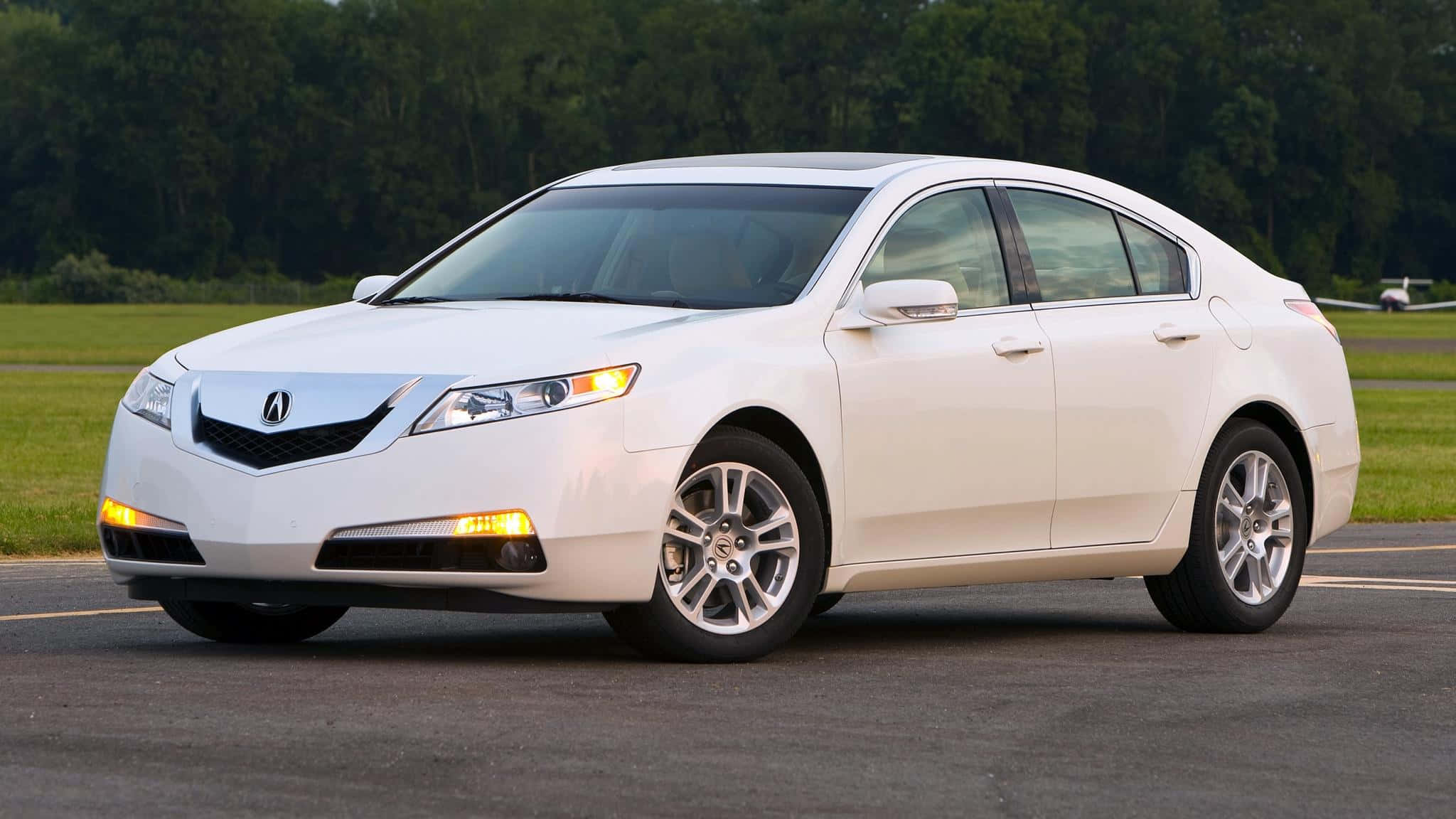Acura Tl 桌布 壁紙 — 一輛純白色的Acura TL轎車在日光下，於瀝青路面上閃閃發光，背景是草地和樹木。
