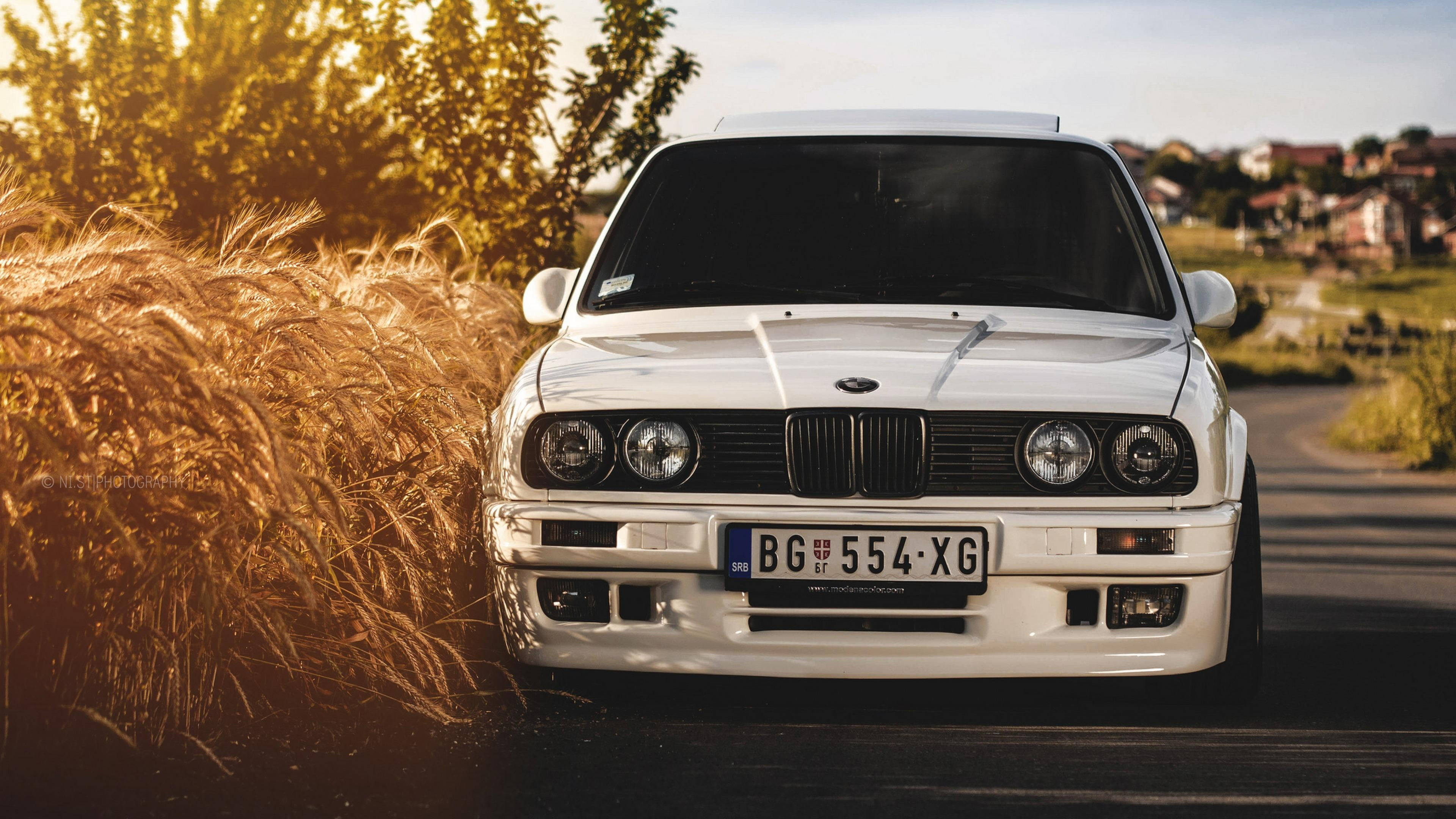 BMW 動圖 桌布 壁紙 — 一輛純白色的BMW E30跑車停在日落時分金色麥田旁的鄉村道路上。