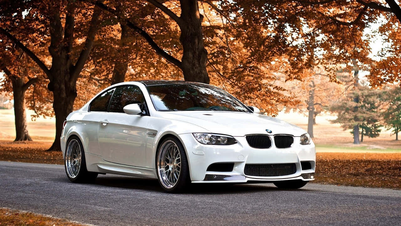 720p Bmw 桌布 壁紙 — 一輛純白色的BMW M3雙門跑車在秋日陽光下閃閃發光，停在樹下，樹上掛著火紅的橙色樹葉。