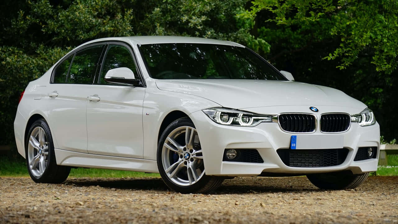 720p Bmw 桌布 壁紙 — 一輛純白色的BMW轎車在日光下閃耀，停在碎石上，茂密的綠樹形成自然背景。