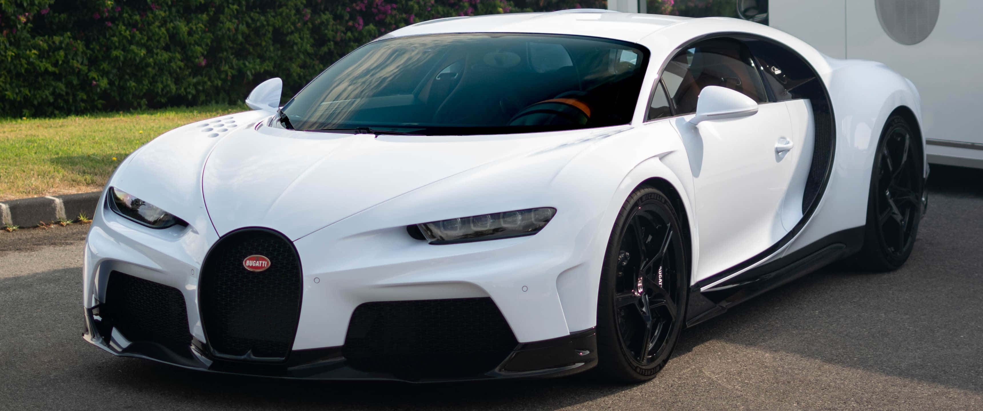 3440x1440p Bugatti 桌布 壁紙 — 一輛純白色的Bugatti Chiron停在柏油路上，剪刀門打開，背景是綠色樹籬。