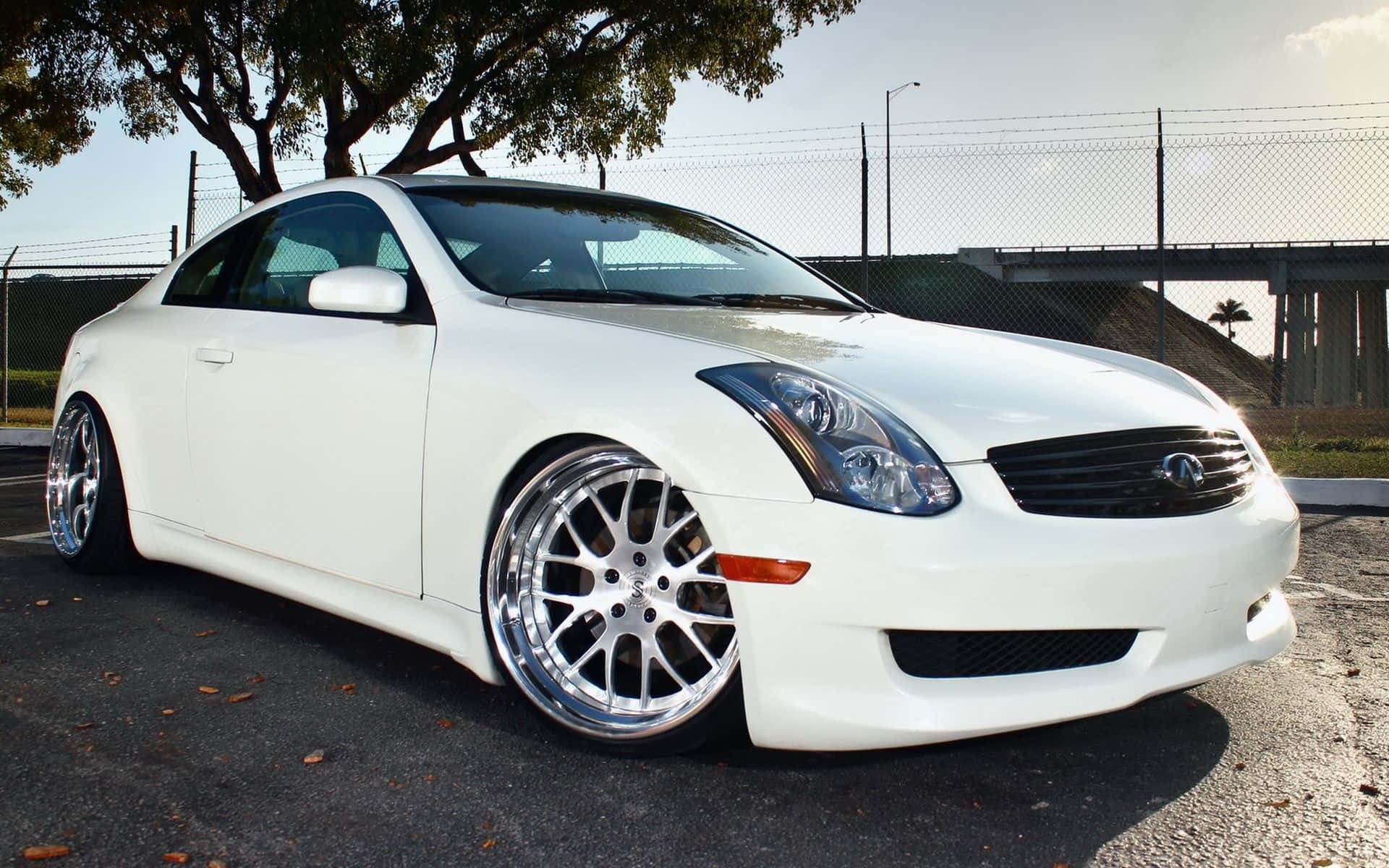 Infiniti G35 桌布 壁紙 — 一輛純白色的Infiniti G轎跑車，配備定制鍍鉻輪圈，停放在綠樹成蔭的鏈條圍欄附近。