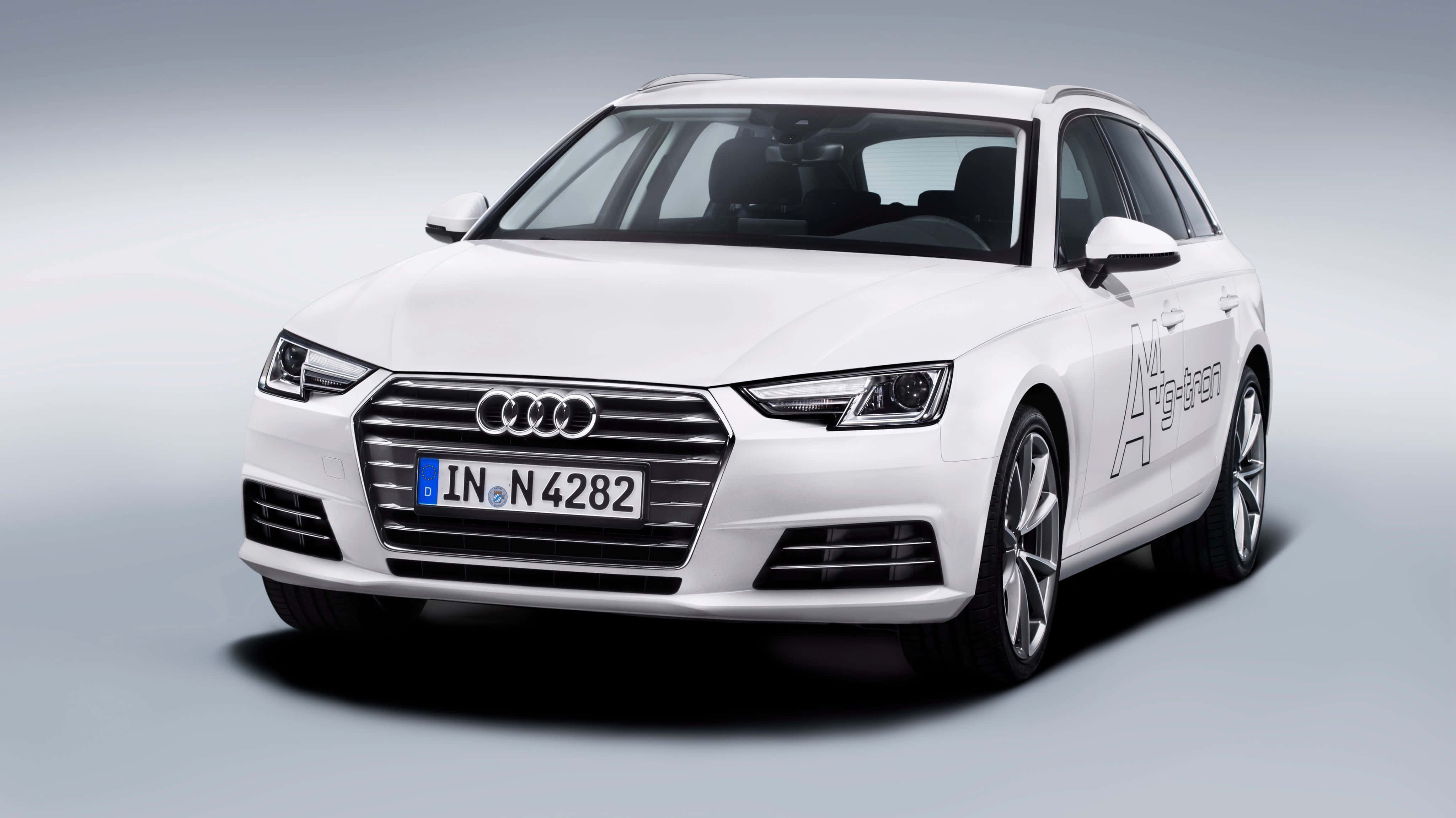 Audi A4 桌布 壁紙 — 一輛純白色的奧迪A4 Avant旅行車在簡約工作室中展示，配有柔和燈光和漸變灰色背景。