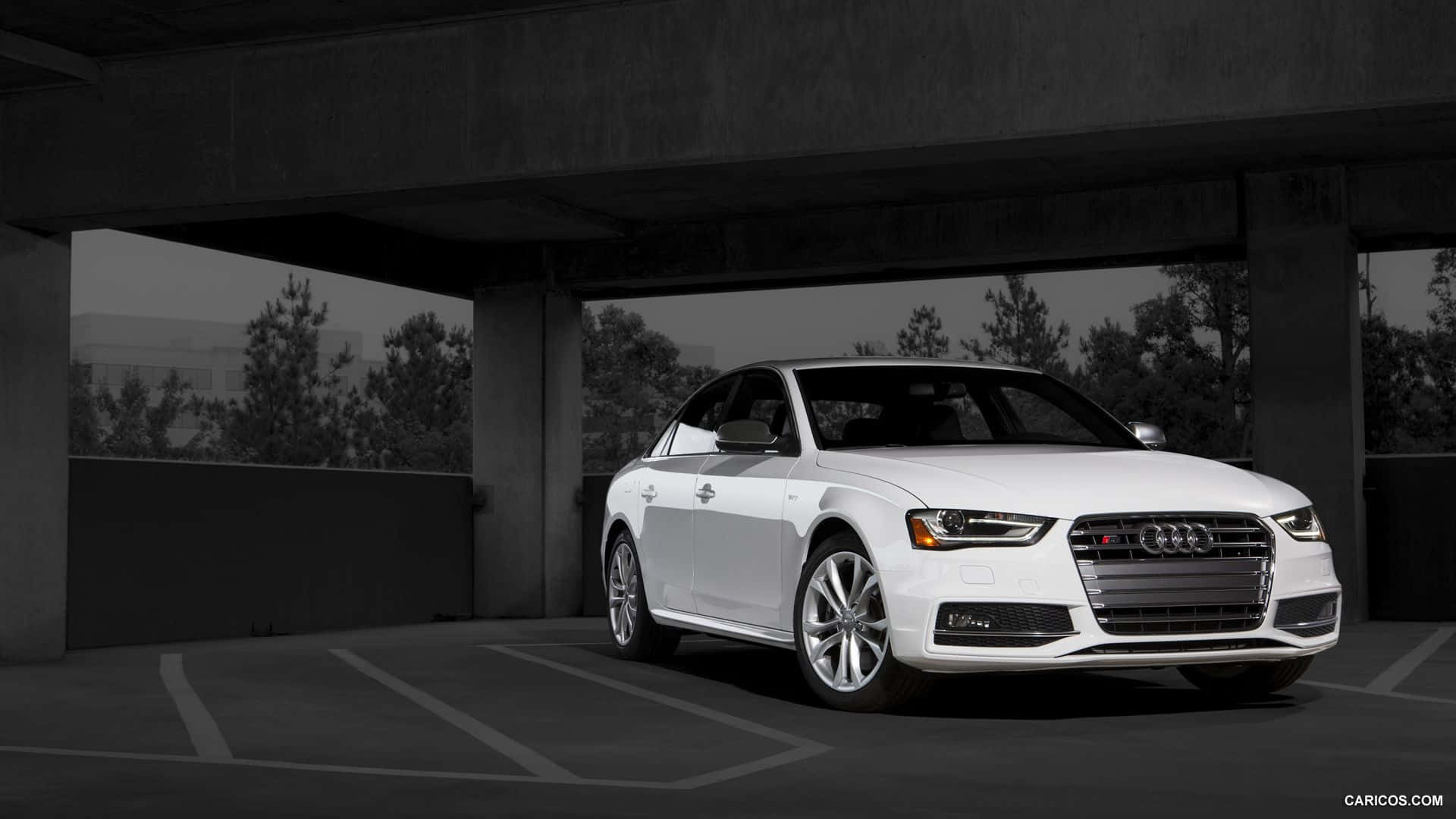 Audi S4 桌布 壁紙 — 一輛純白色的奧迪轎車在柔和光線下，在光禿禿的混凝土天橋下閃閃發光，背景有樹木。