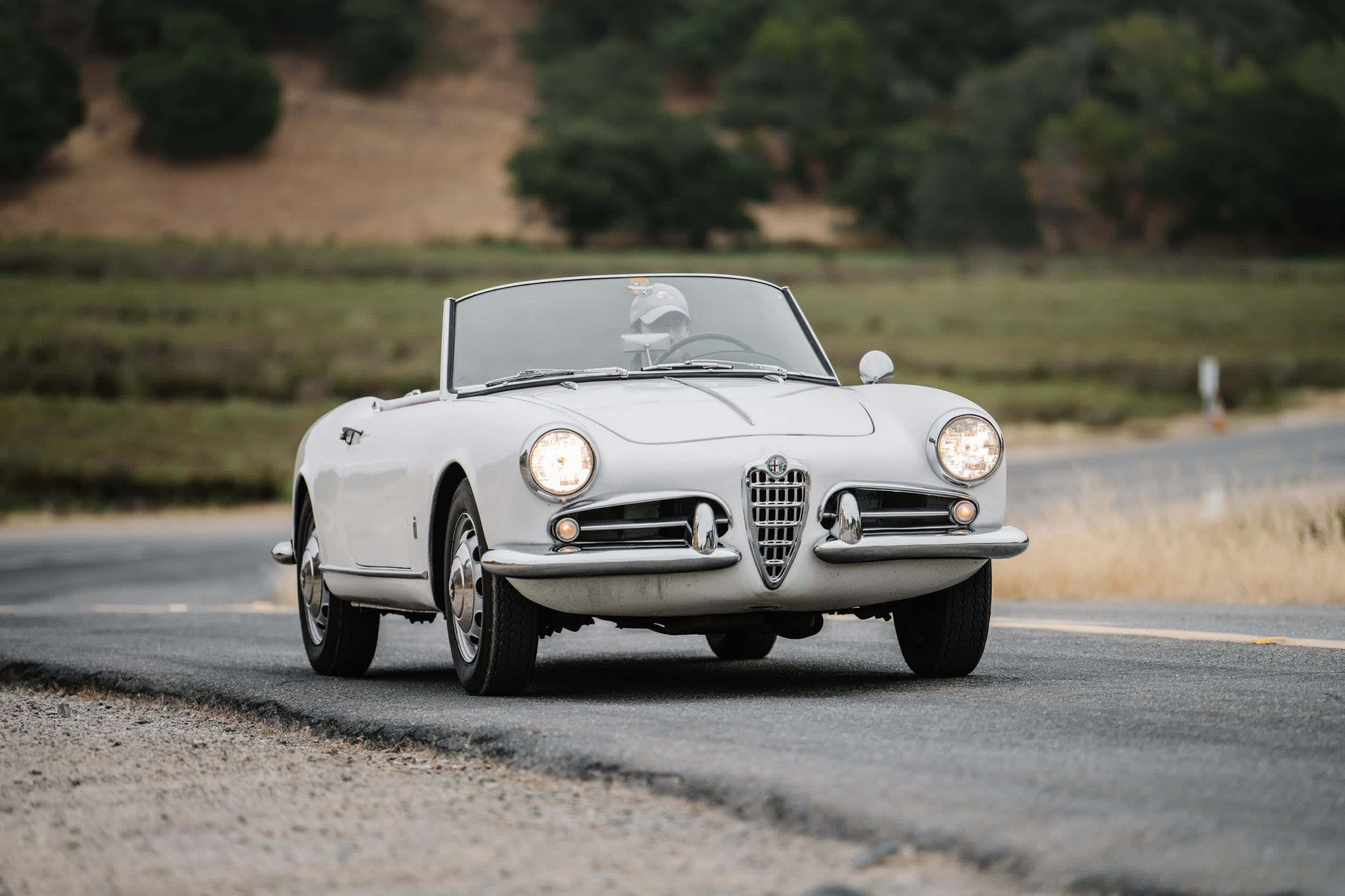 Alfa Romeo Spider 桌布 壁紙 — 一輛純白色的復古Alfa Romeo Spider敞篷車沿著蜿蜒的鄉村道路行駛，兩旁是乾草和樹木。