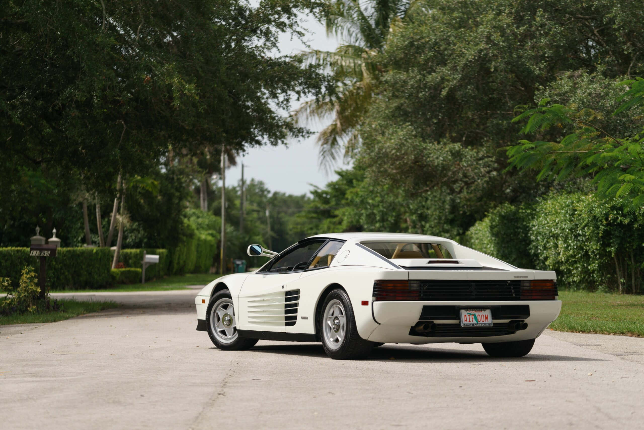 white ferrari 桌布 壁紙 — 一輛純白色的法拉利 Testarossa 停放在寧靜的綠樹成蔭的道路上，周圍環繞著茂密的綠植。