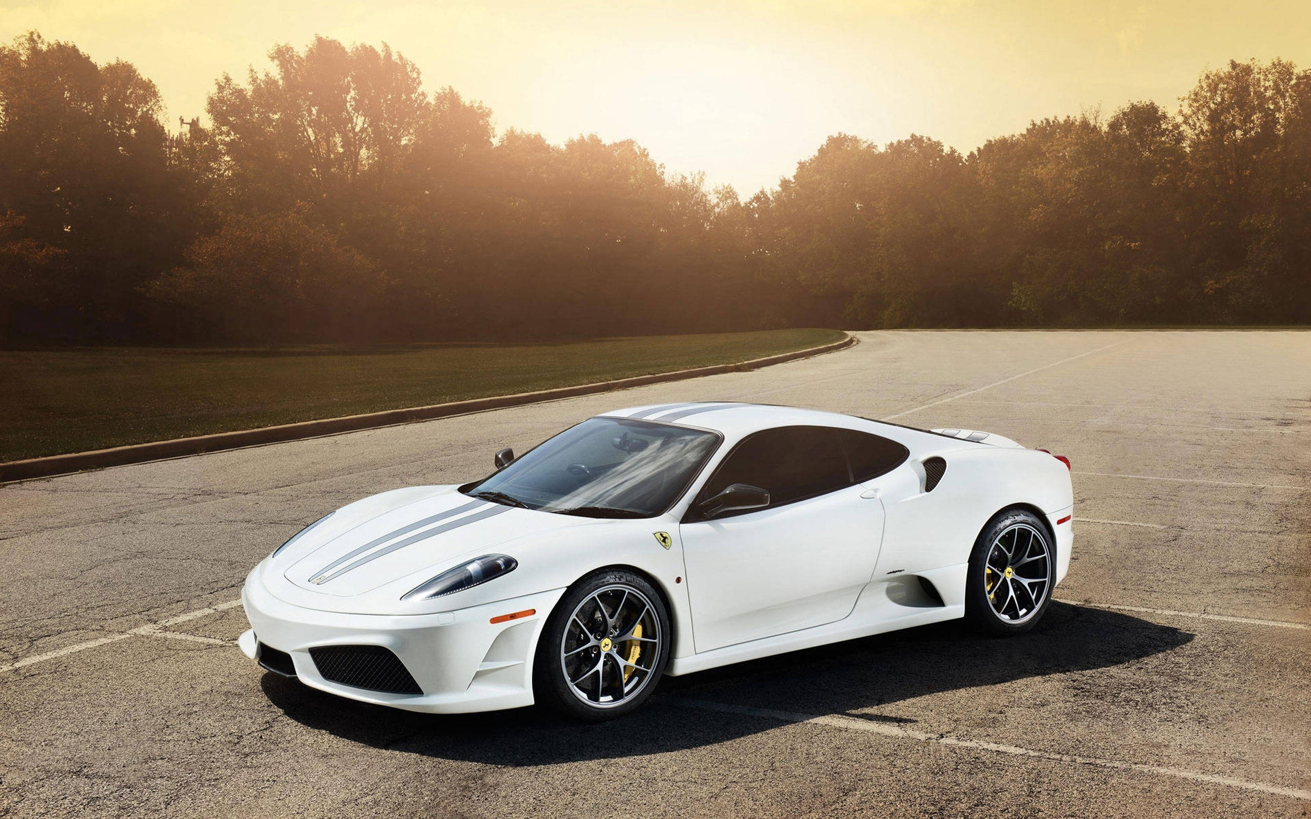 white ferrari 桌布 壁紙 — 一輛純白色的法拉利430跑車在空曠的瀝青路上，沐浴在金色的夕陽光下閃閃發光，路邊樹木成蔭。