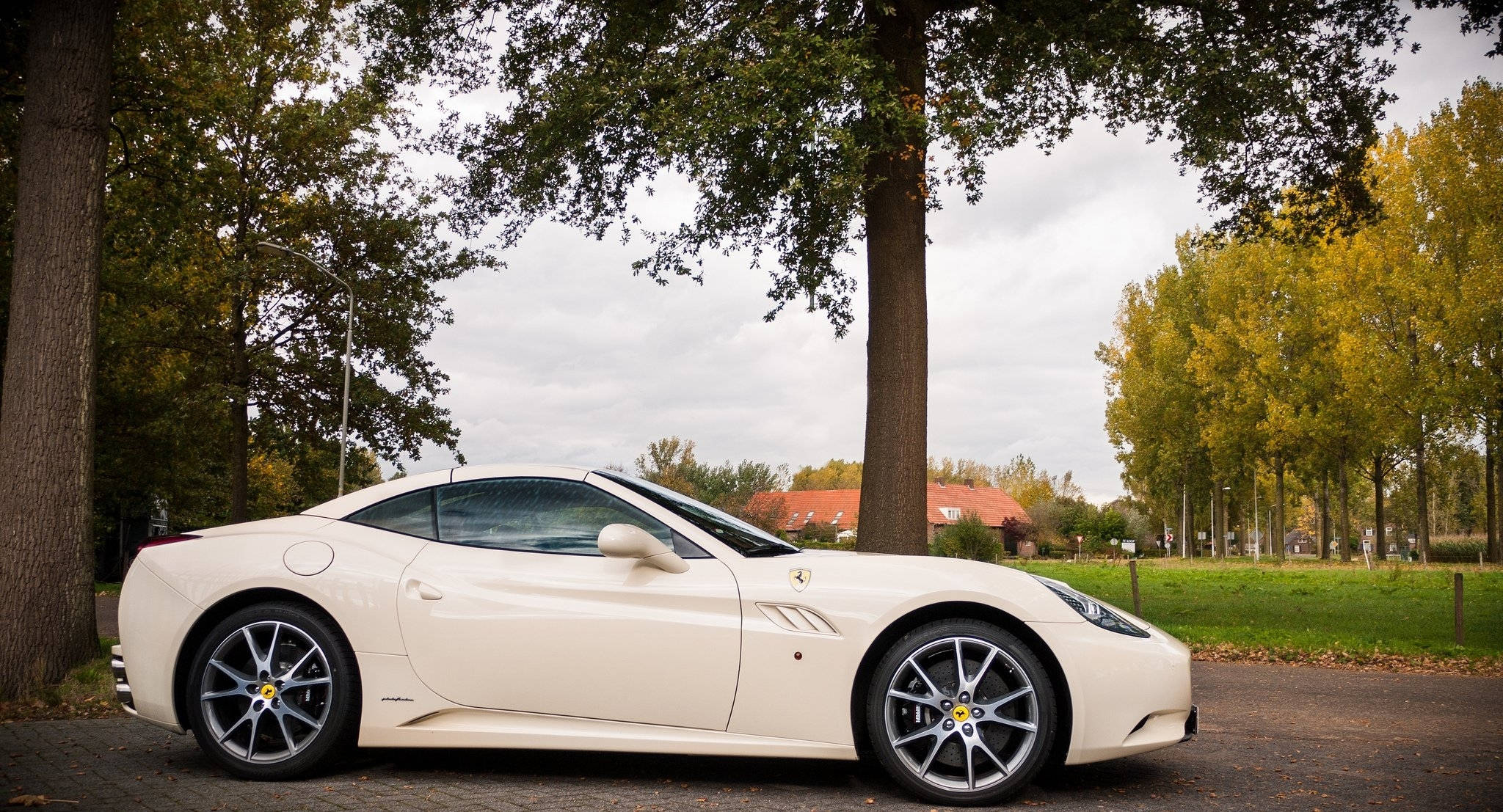 white ferrari 桌布 壁紙 — 一輛純白色的法拉利加利福尼亞停泊在樹葉茂密的樹下，秋葉和陰天。
