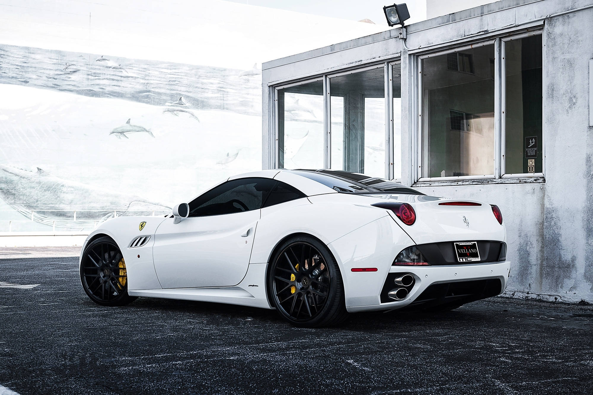 white ferrari 桌布 壁紙 — 一輛純白色的法拉利跑車，配備黑色輪圈和黃色制動卡鉗，停在一棟現代玻璃建築旁，牆上有海豚壁畫。