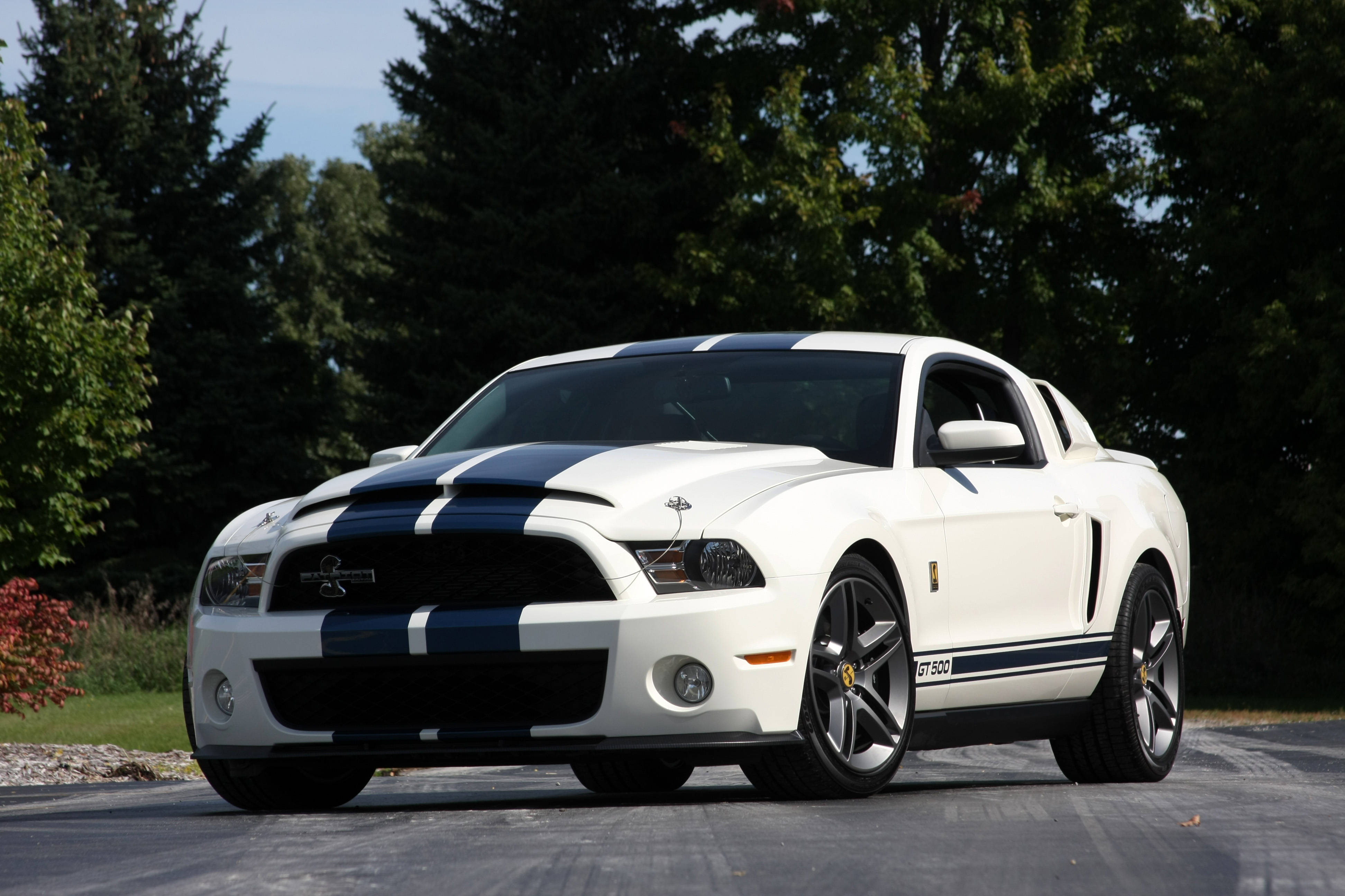 shelby iPhone 桌布 壁紙 — 一輛純白色的福特 Mustang GT500，帶有醒目的藍色賽車條紋，停在鋪砌的道路上，周圍是茂密的綠樹，在明亮的日光下。