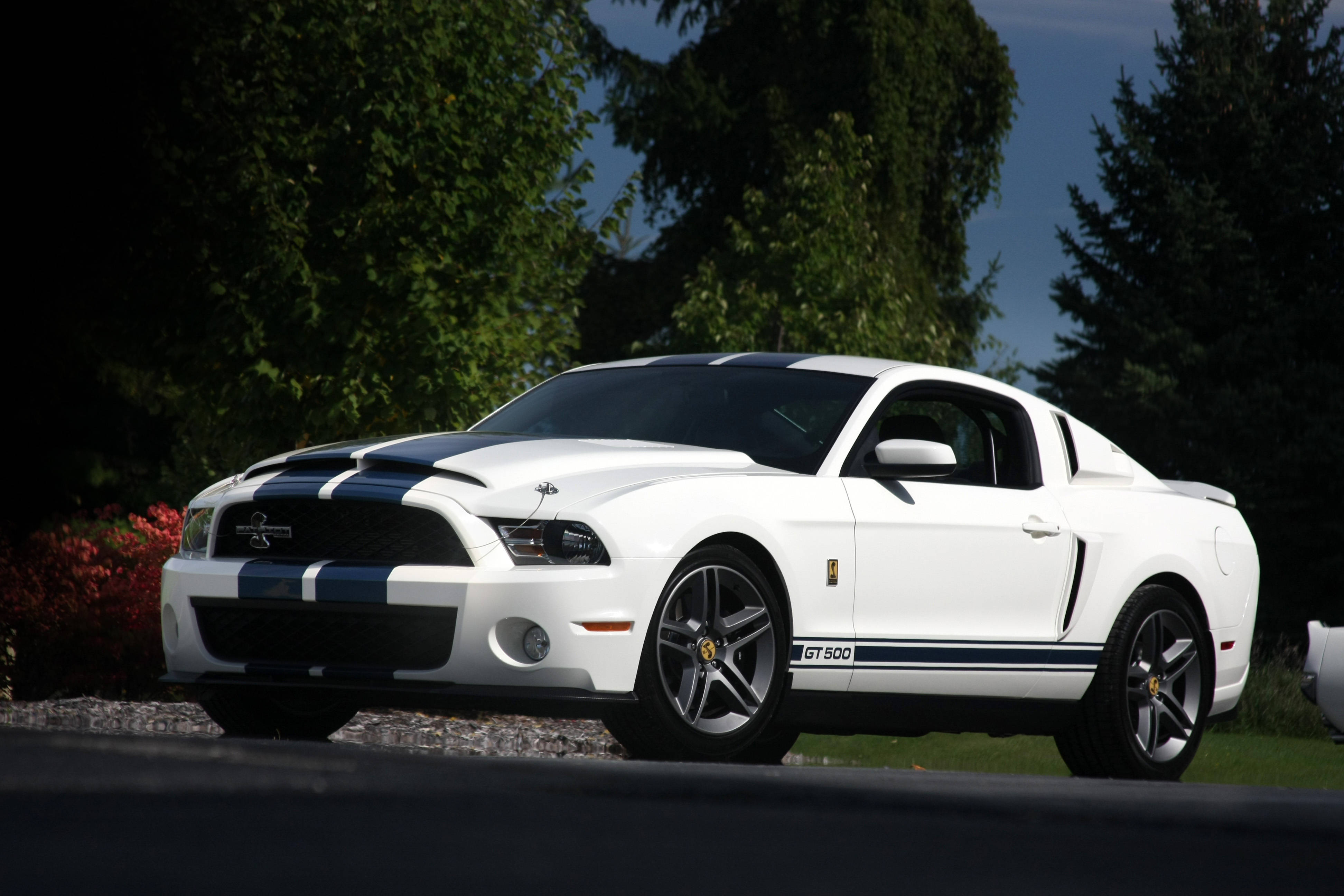 shelby iPhone 桌布 壁紙 — 一輛純白色的福特 Mustang GT500，帶有醒目的藍色賽車條紋，停在碎石路上，旁邊是茂密的綠樹，天空清澈湛藍。
