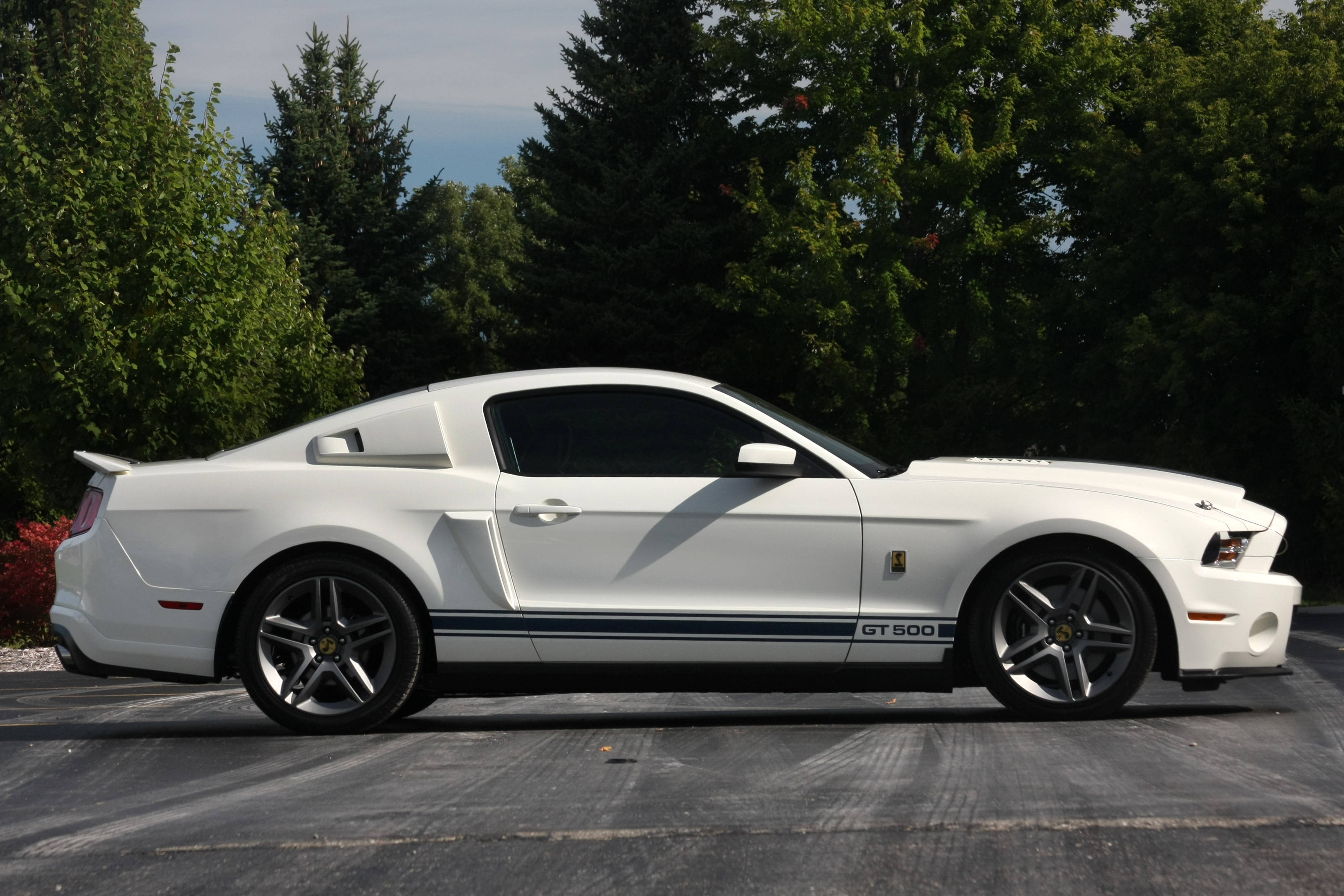 shelby iPhone 桌布 壁紙 — 一輛純白色的福特Mustang GT500停在柏油路上，背景是茂密的綠樹，在明亮的日光下。