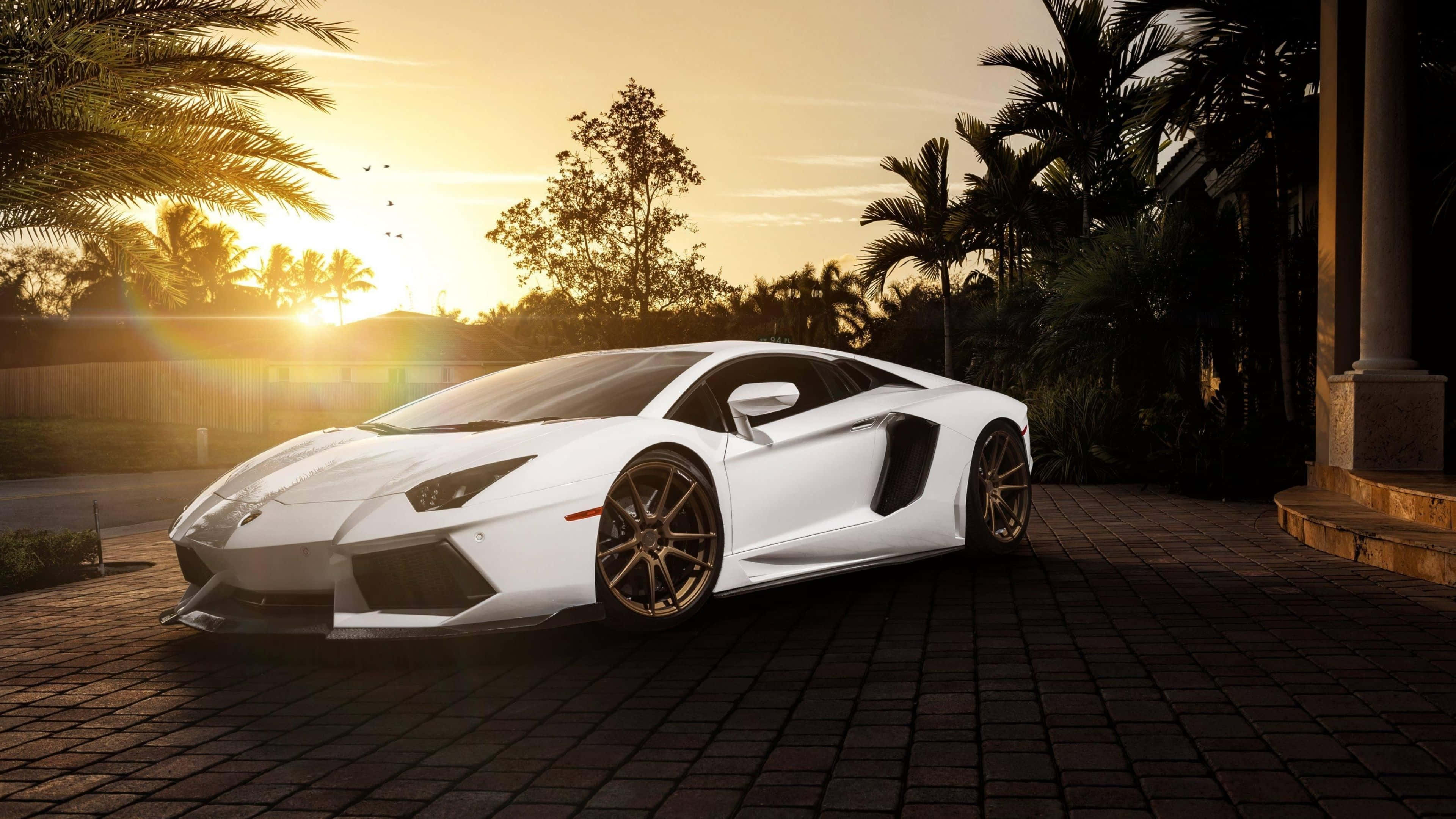 4K 藍寶堅尼 桌布 壁紙 — 一輛純白色的藍寶堅尼 Aventador 在金色夕陽下，於石頭車道上棕櫚樹旁閃閃發光。