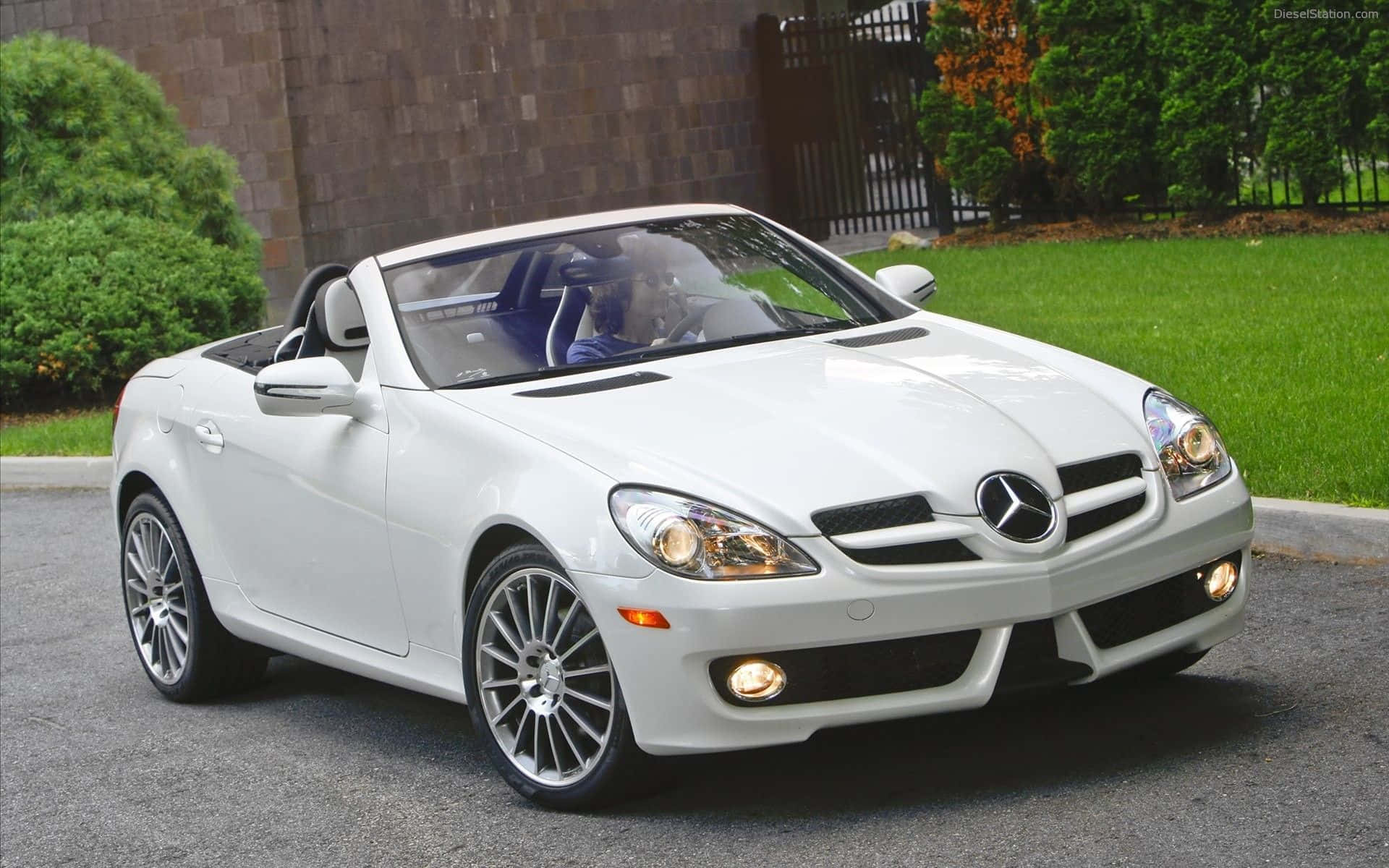 Luxury 桌布 壁紙 — 一輛純白色的賓士 SLK 敞篷車停在鋪砌的車道上，背景是茂密的綠草和樹木。