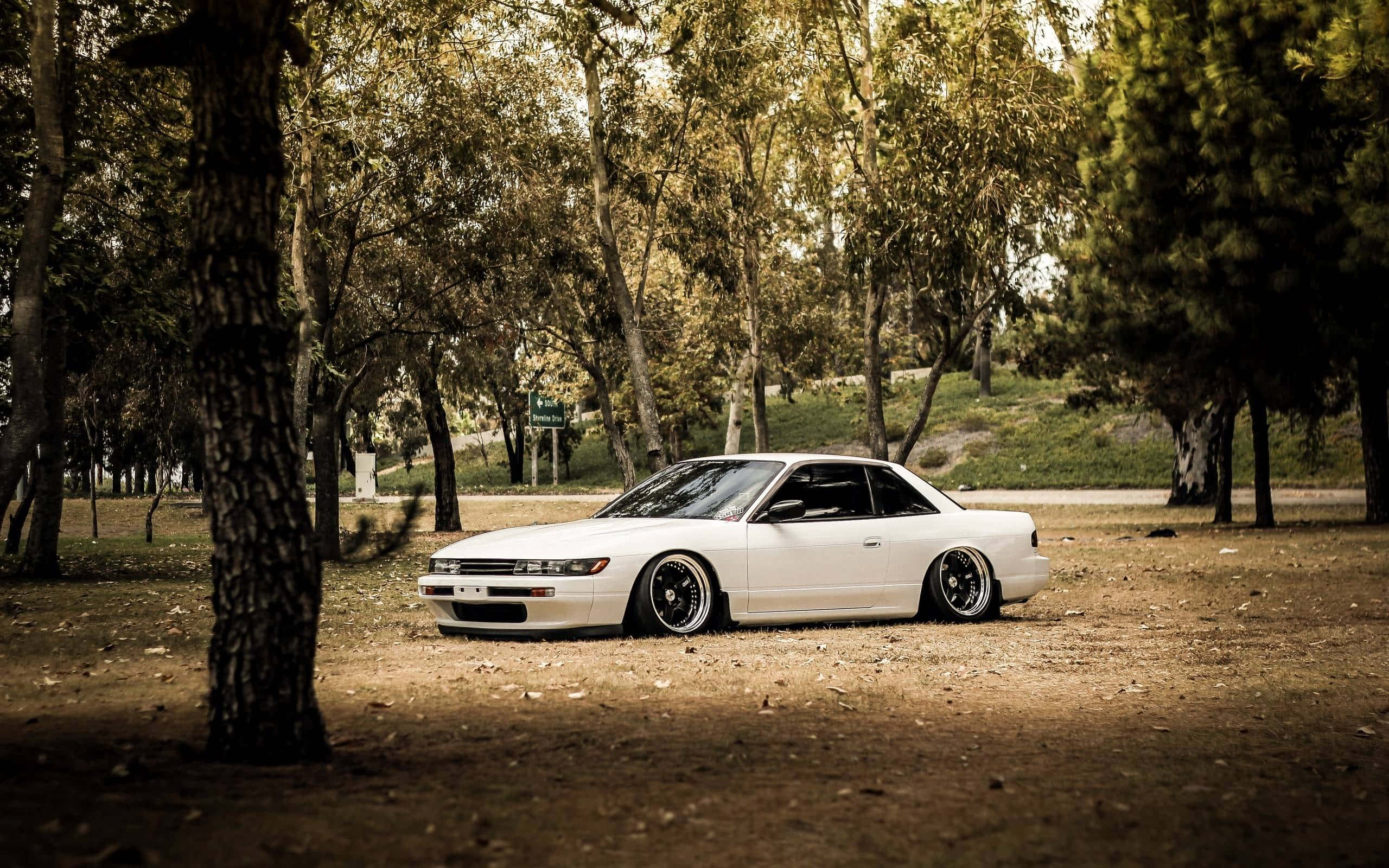 Nissan Silvia S13 桌布 壁紙 — 一輛純白色跑車停放在陽光灑落的泥土小徑上，四周環繞著高大的樹木，處於寧靜的森林環境中。