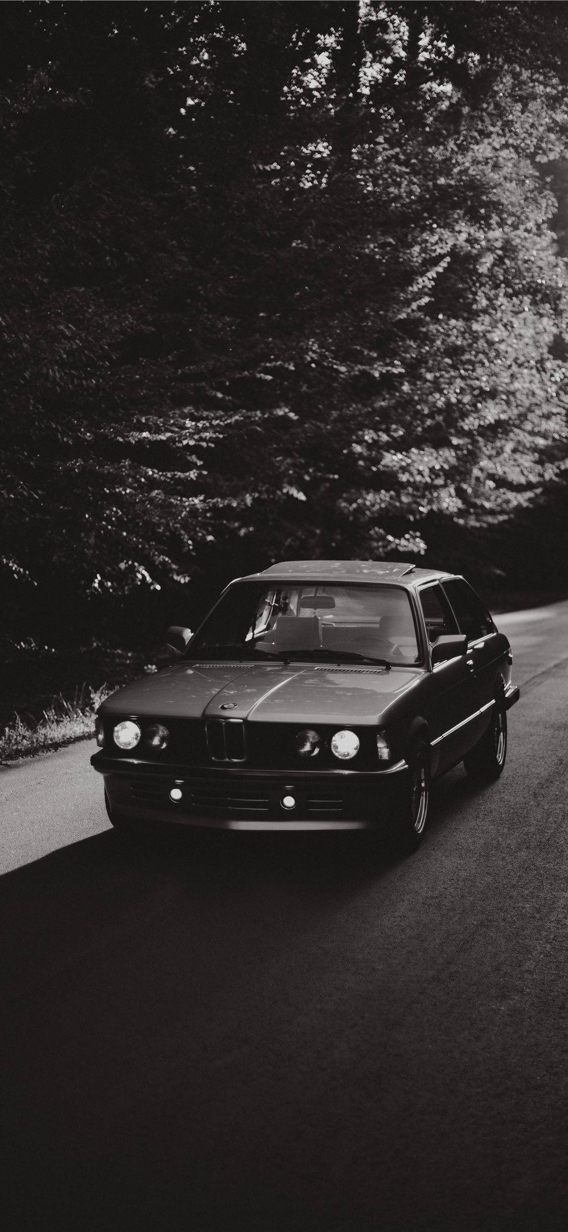 老車 桌布 壁紙 — 一輛經典BMW E30房車在戲劇性的黑白燈光下行駛在蜿蜒的森林道路上。