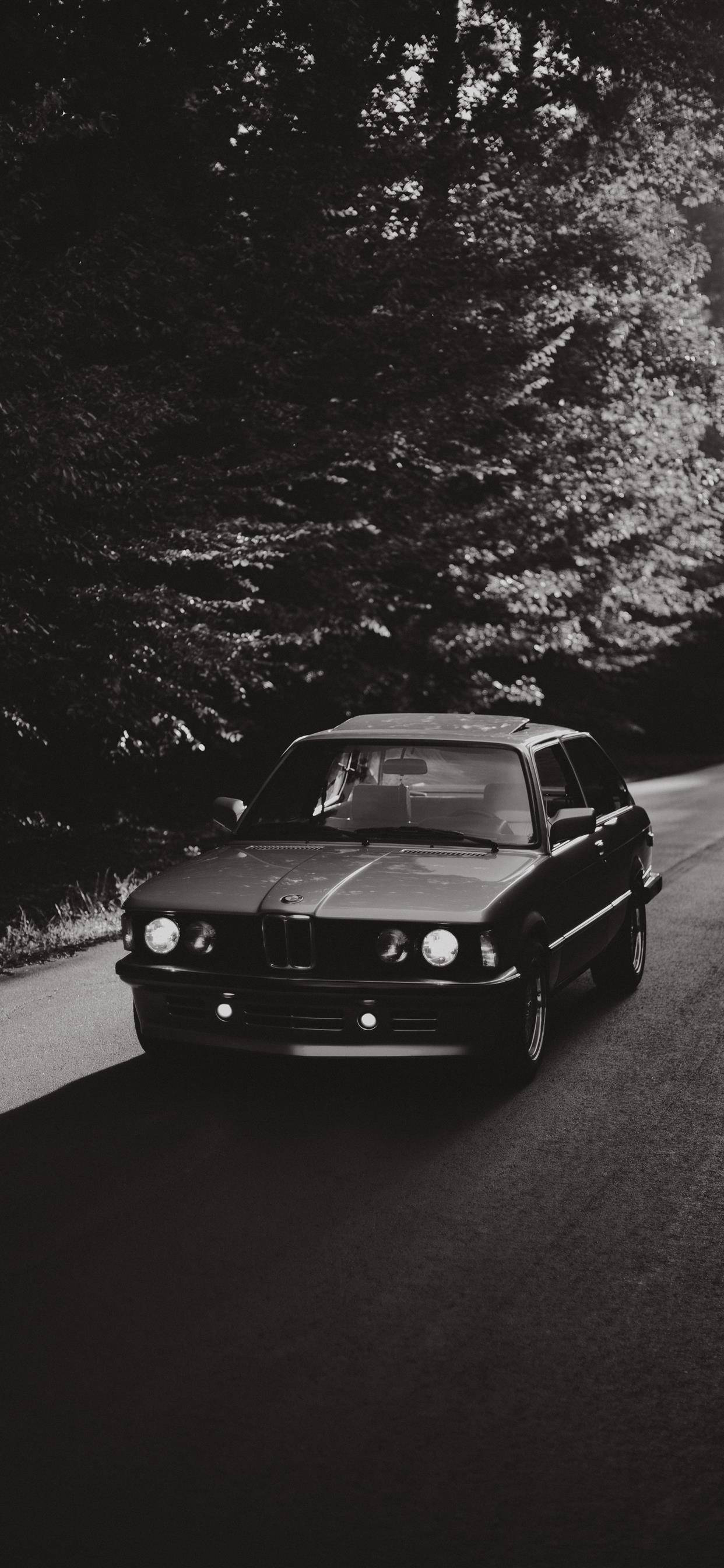 X 桌布 壁紙 — 一輛經典BMW E30房車在斑駁的陽光下行駛在蜿蜒的林間道路上，呈現出戲劇性的黑白畫面。