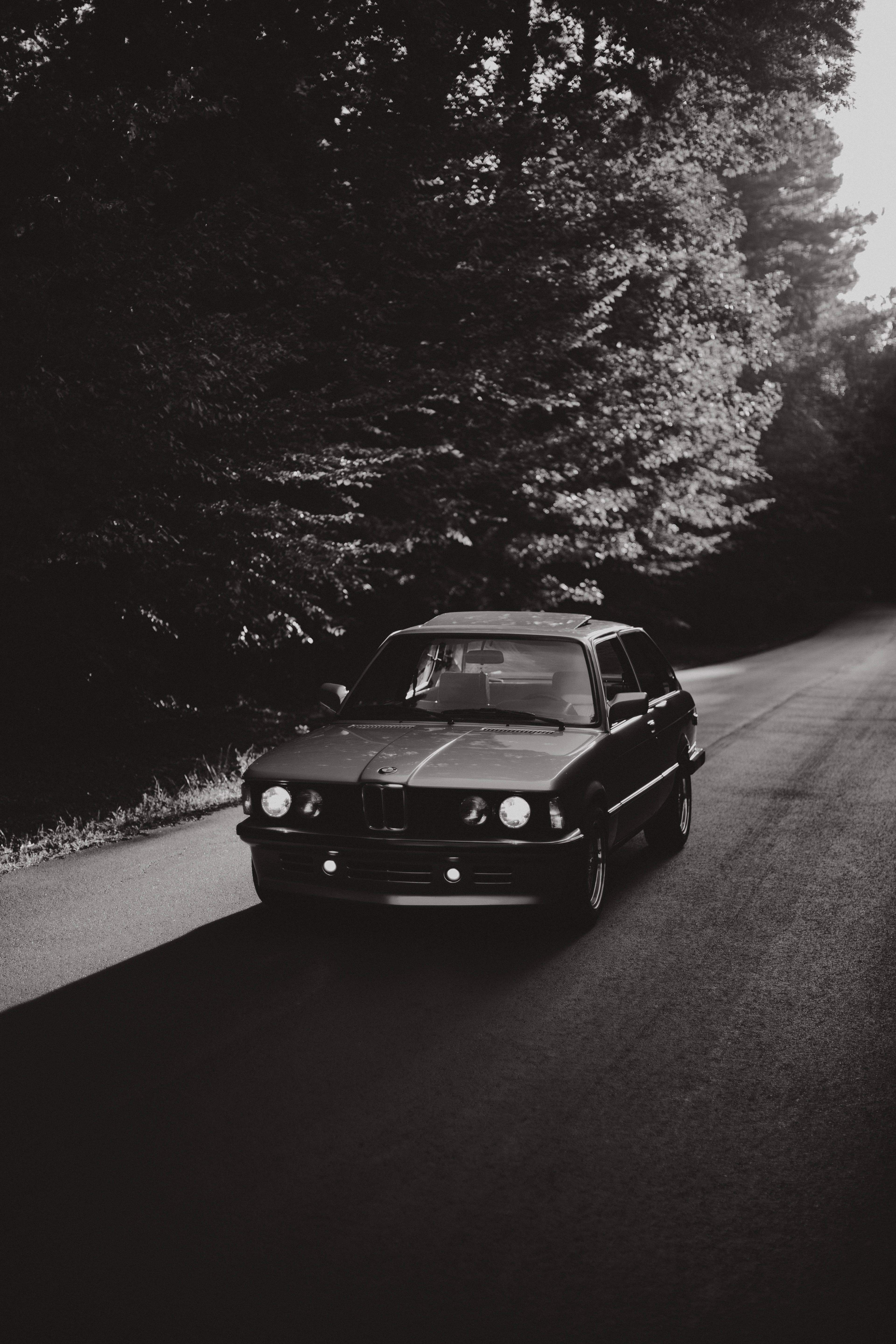 BMW 動圖 桌布 壁紙 — 一輛經典BMW E30房車沿著蜿蜒的森林道路行駛，呈現高對比度的黑白效果。