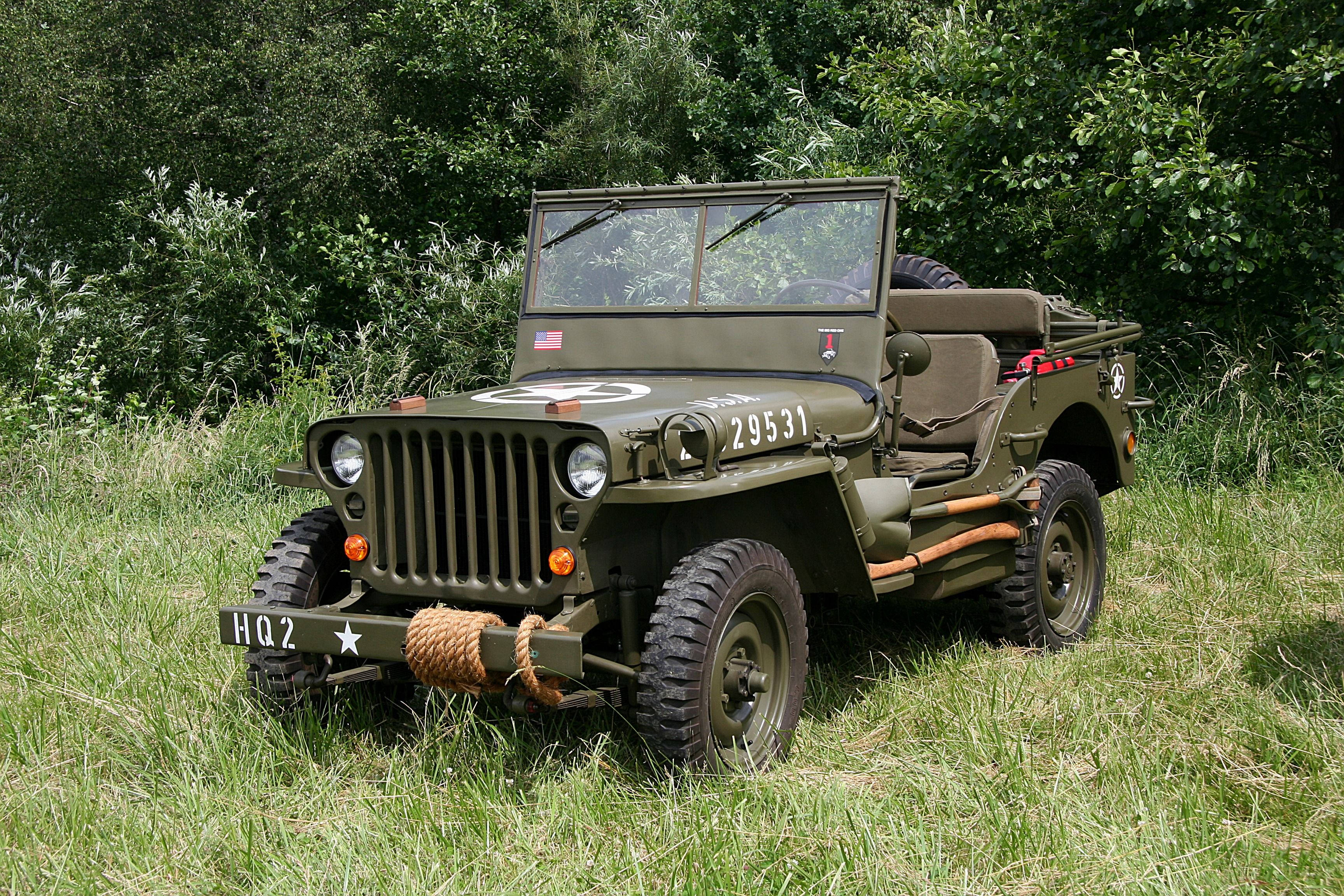 Grass 桌布 壁紙 — 一輛經典橄欖綠色軍用吉普車，車牌號碼29531，停放在高草叢中，旁邊是茂密的綠色樹葉。