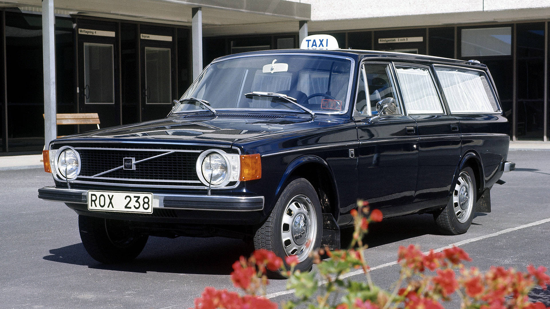 volvo iPhone 桌布 壁紙 — 一輛經典深藍色富豪240DL計程車停放在現代建築物前，前景有紅色花朵。