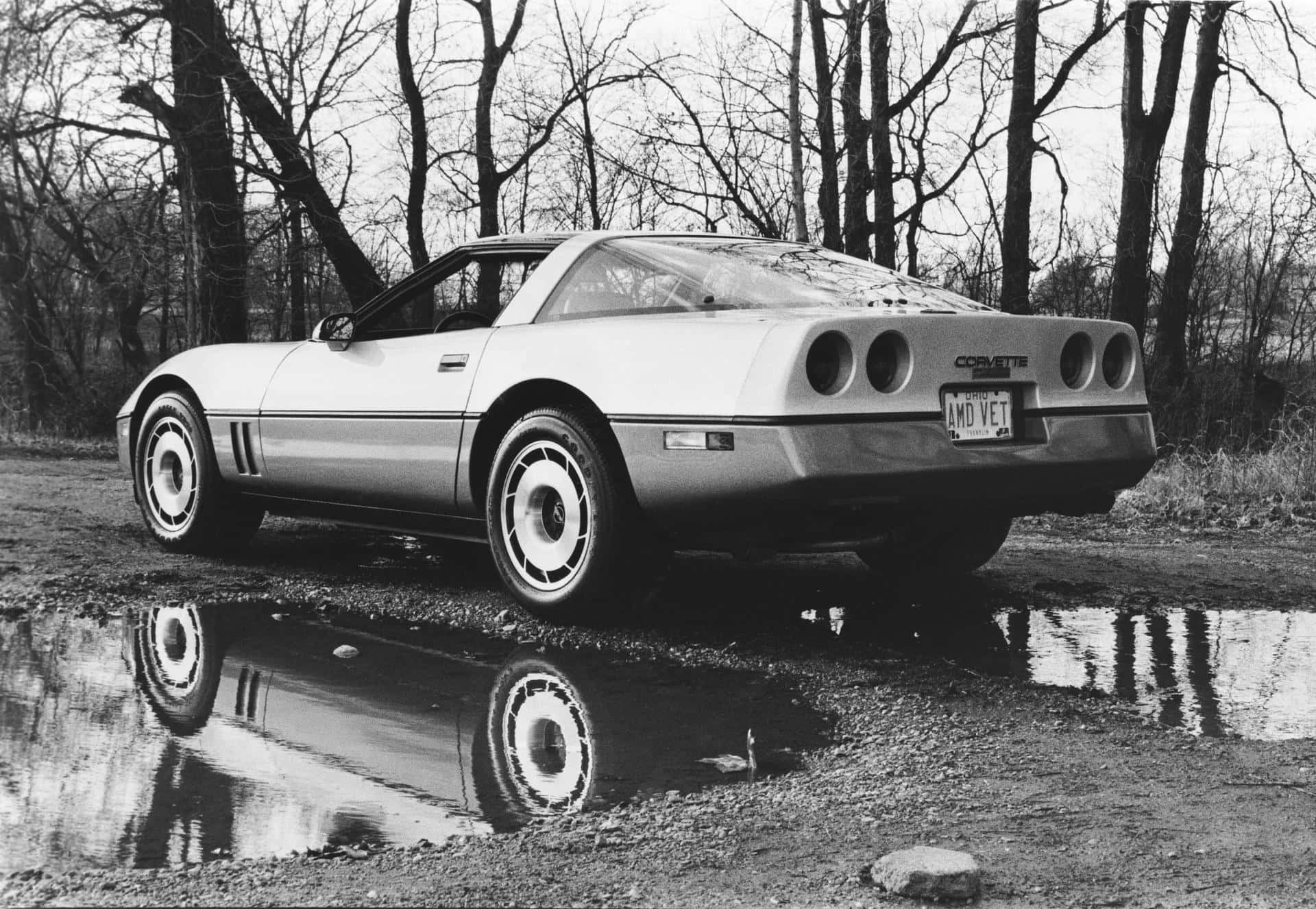 C4 Corvette 桌布 壁紙 — 一輛經典白色Corvette跑車停泊在碎石路旁的一個水窪邊，水窪以黑白反射其車尾和光禿的樹木。