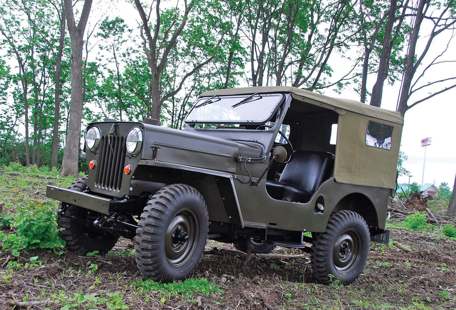 Jeep Cj 桌布 壁紙 — 一輛經典的橄欖綠色軍用吉普車停放在長滿草的森林小徑上，周圍是高聳的樹木。