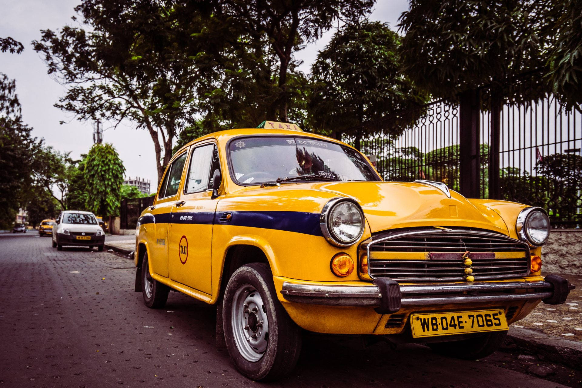 Kolkata 桌布 壁紙 — 一輛經典的黃色計程車帶有藍色條紋，停泊在陰天下一條綠樹成蔭的街道上。
