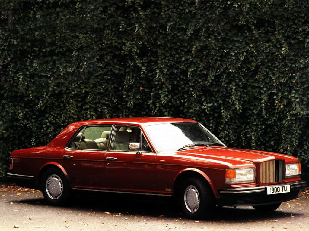 Bentley Turbo R 桌布 壁紙 — 一輛經典紅色賓利轎車在日光下閃閃發光，停放在茂密的綠色常春藤牆前。