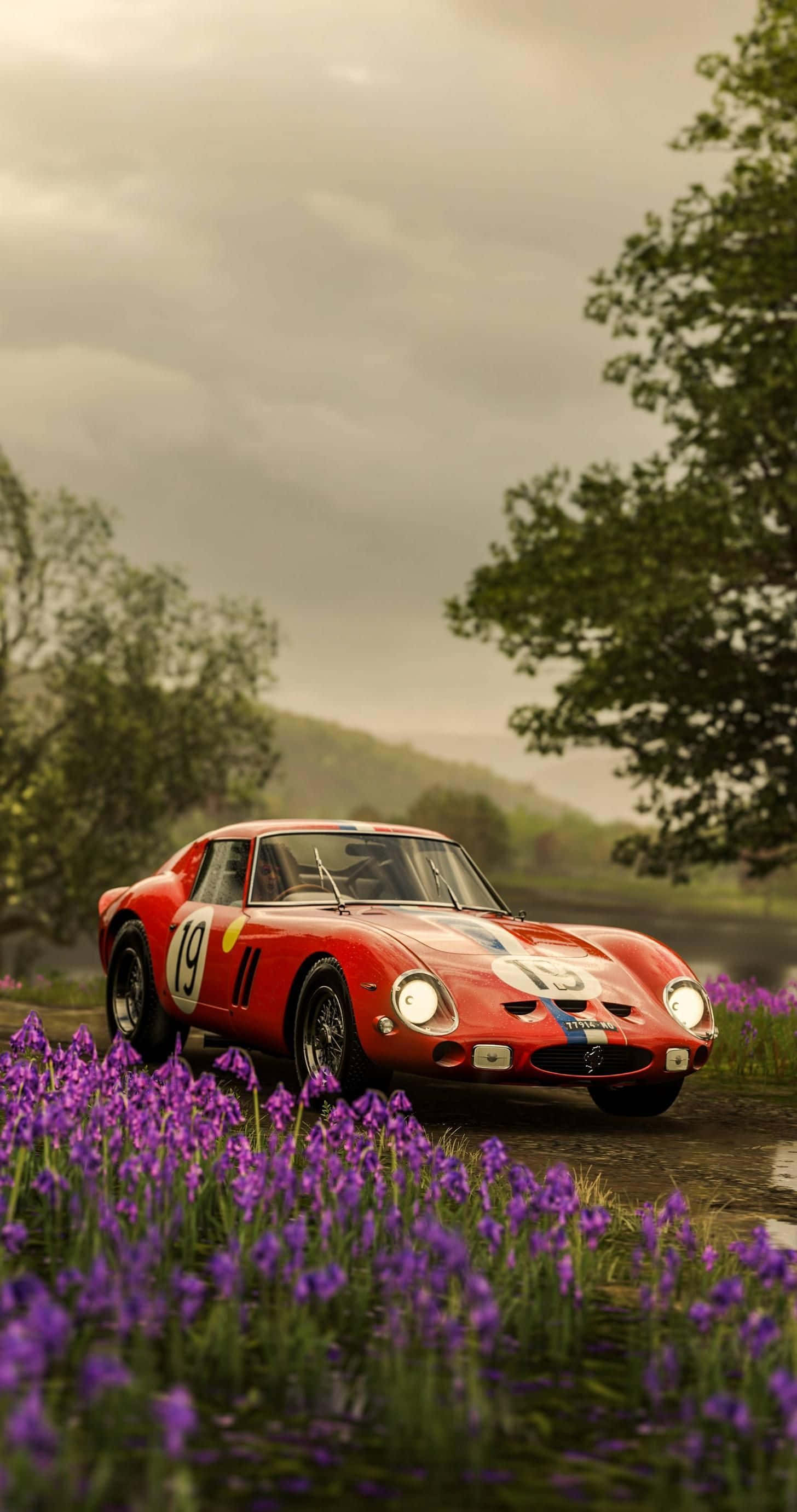 Vintage Ferrari 桌布 壁紙 — 一輛經典紅色賽車，號碼19，停泊在潮濕的道路上，旁邊是一片紫色花田，天空多雲。