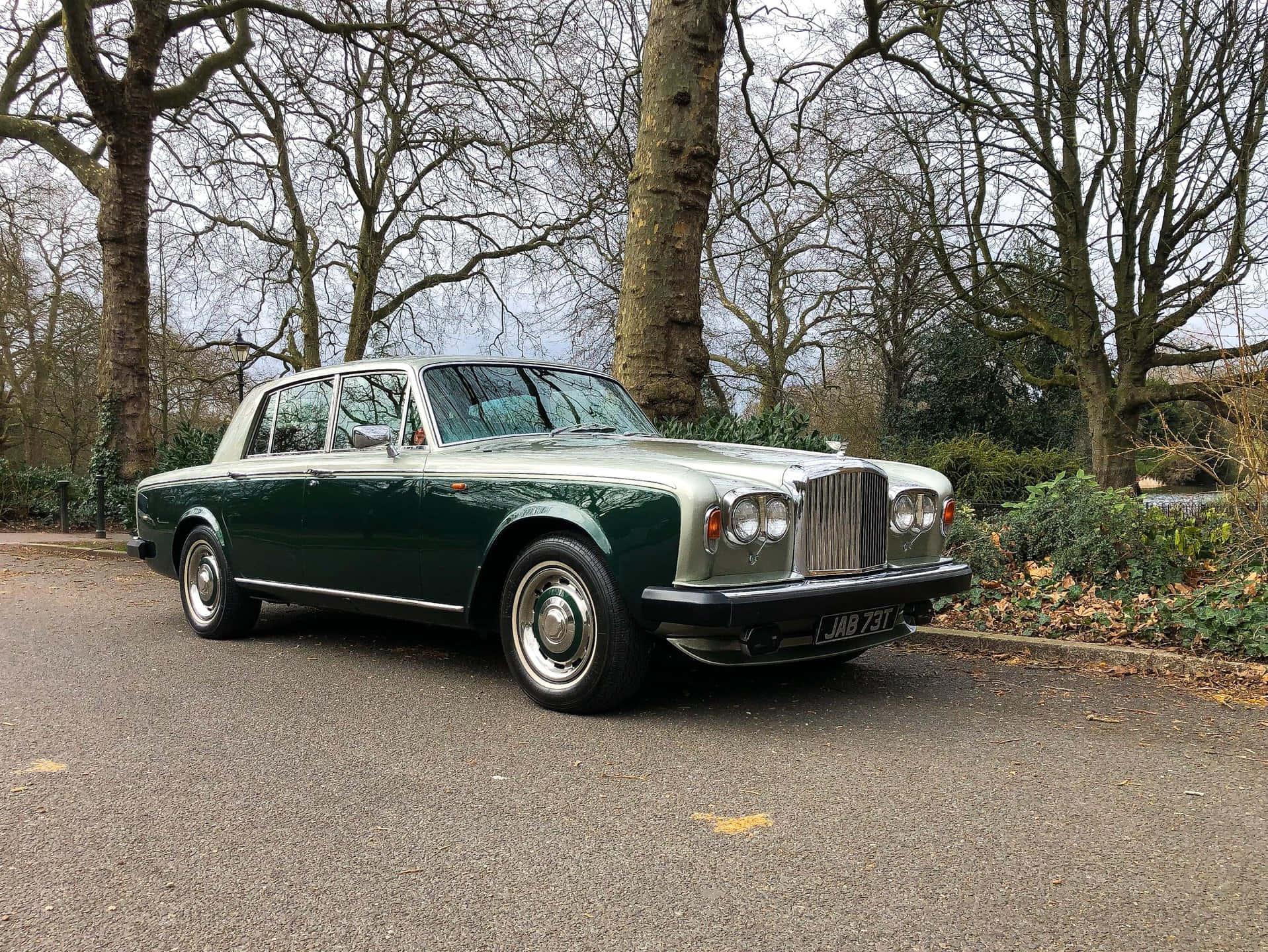 Bentley T2 桌布 壁紙 — 一輛經典綠色賓利轎車停泊在樹蔭大道上，天空多雲，樹枝光禿。