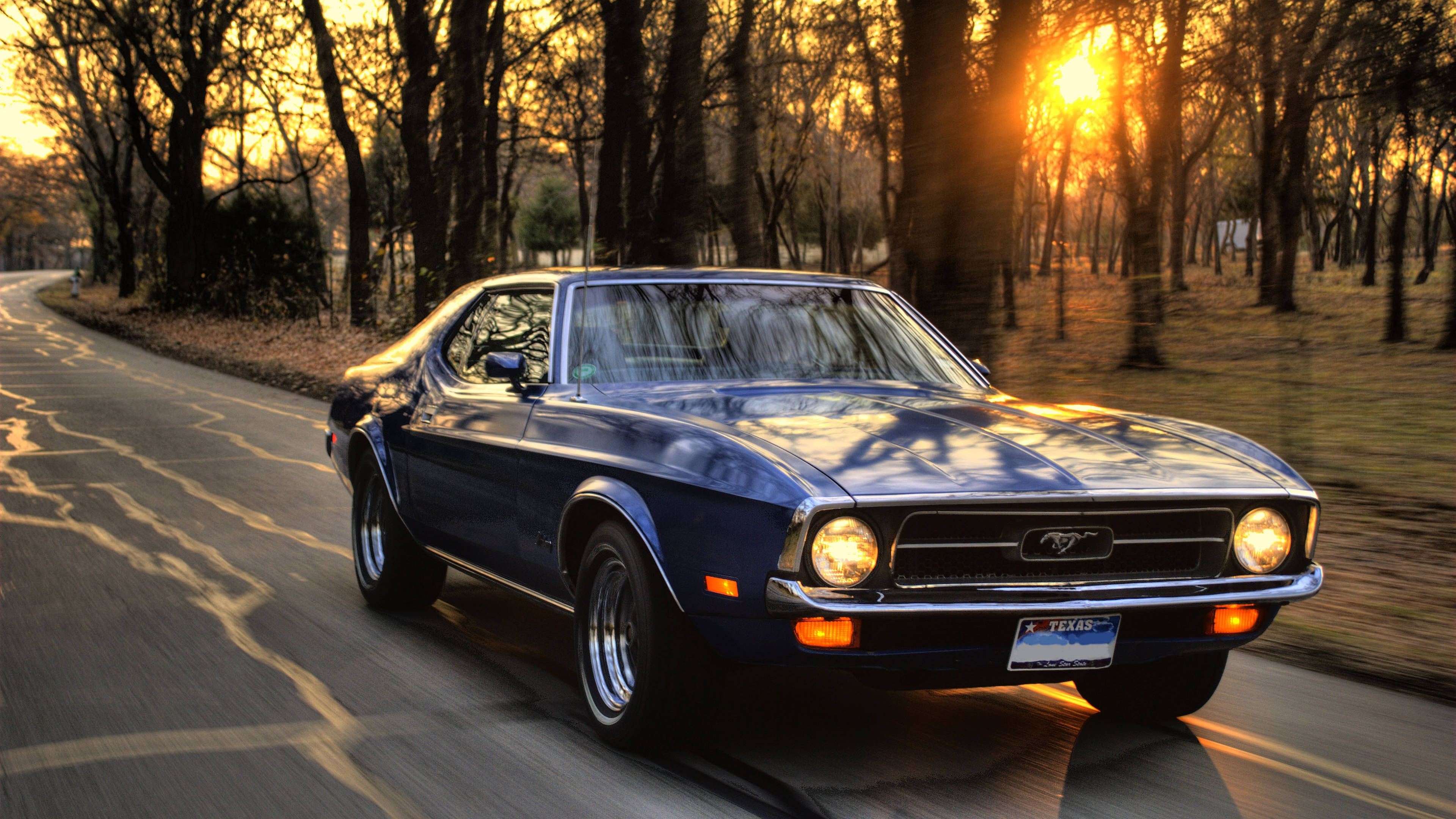 mustang HD 桌布 壁紙 — 一輛經典藍色野馬跑車沿著林蔭大道行駛，金色夕陽穿過光禿的樹枝閃耀。
