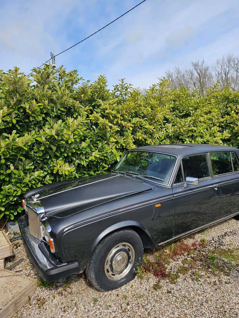 Bentley T2 桌布 壁紙 — 一輛經典黑色勞斯萊斯停泊在碎石路上，旁邊是茂密的綠色籬笆，上方是明亮的藍天。