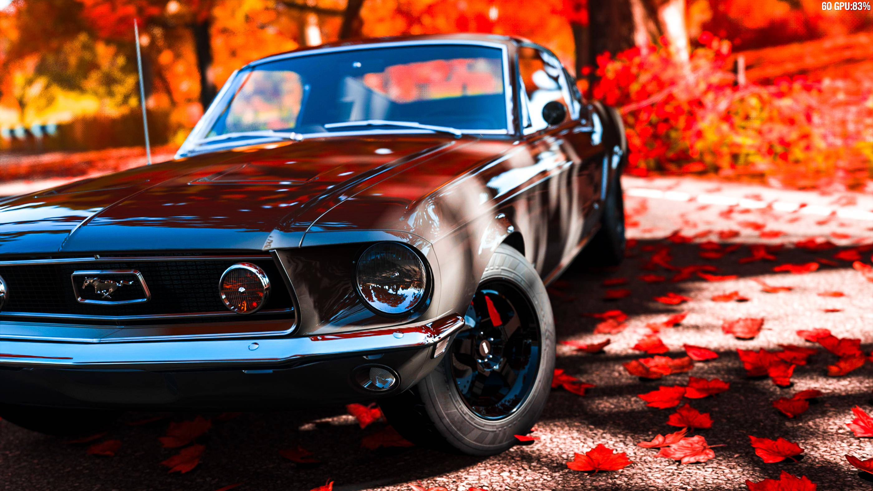 Cool Mustang 桌布 壁紙 — 一輛經典黑色野馬在秋日陽光下閃耀，被森林小徑上鮮紅的樹葉環繞。