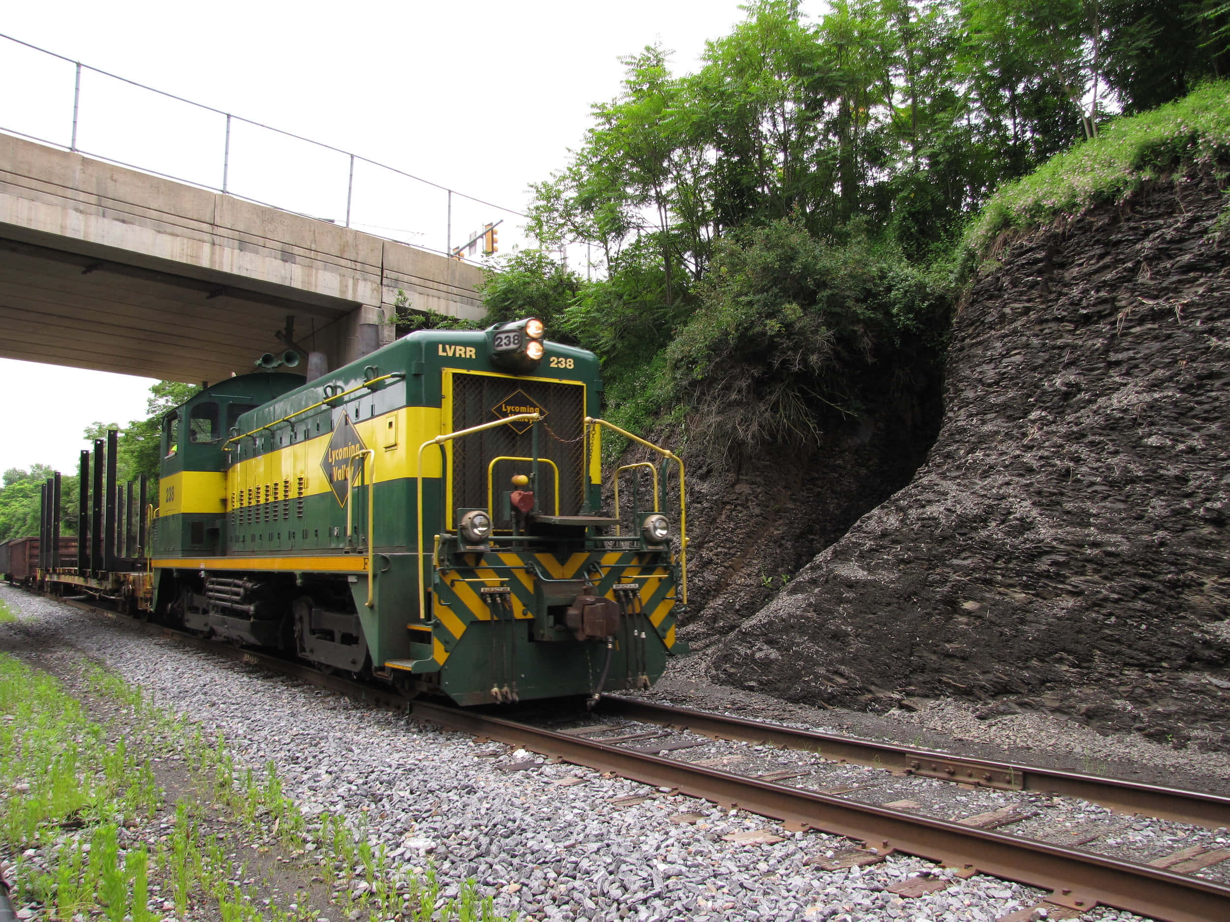 bridge 桌布 壁紙 — 一輛綠色和黃色的LVRR柴油機車牽引貨車穿過混凝土天橋下的茂密森林峽谷。