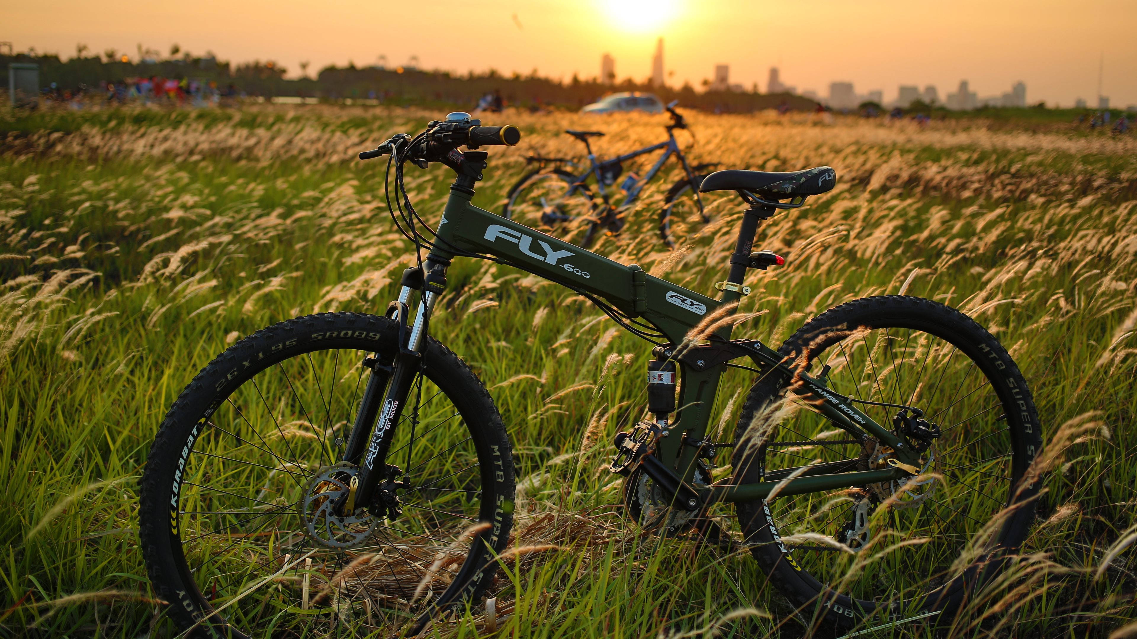 Bicycle 桌布 壁紙 — 一輛綠色登山腳踏車停在高高的草叢中，夕陽在遠處的城市天際線落下。