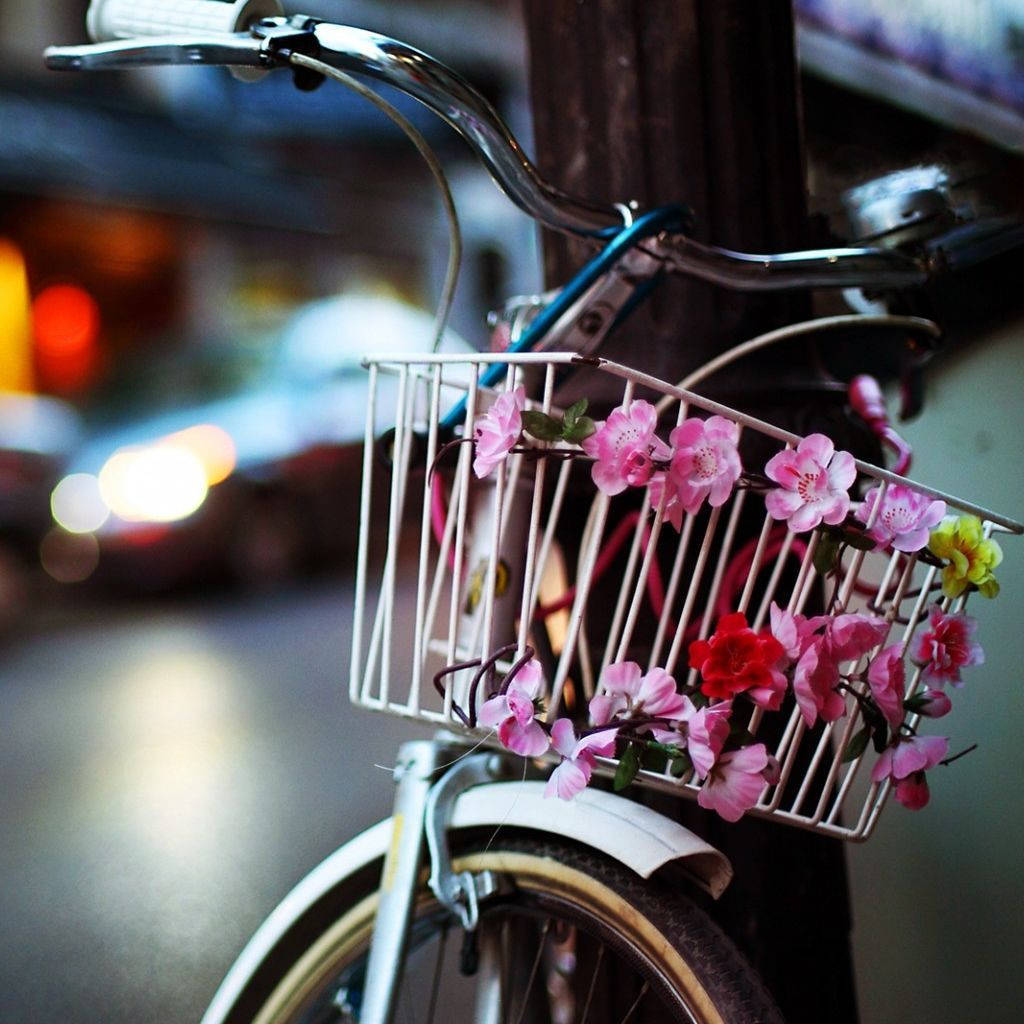 桌布 壁紙 — 一輛自行車，車頭鐵籃裝滿粉紅櫻花，夜間停放，背後是模糊的城市燈光。