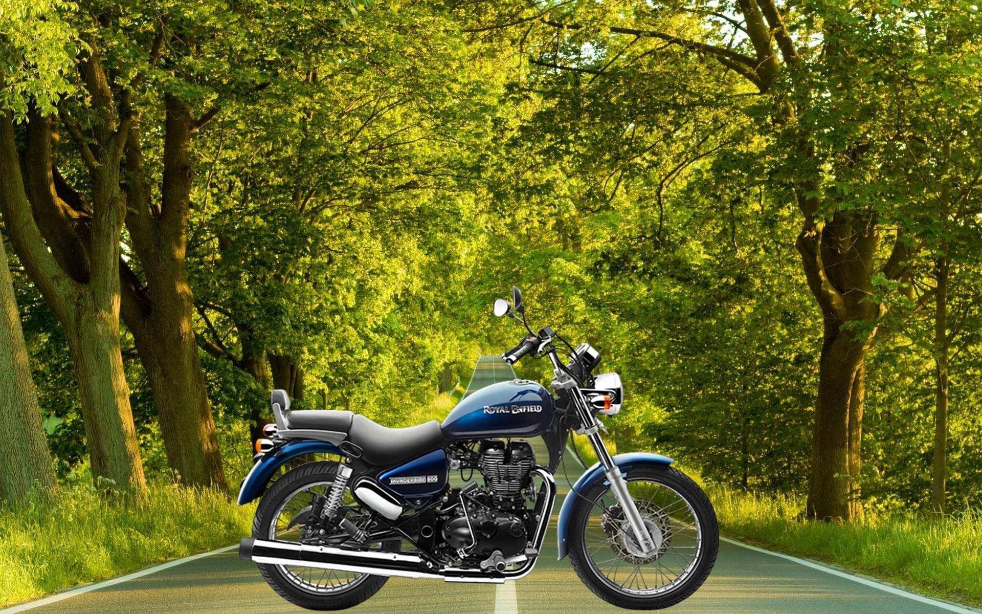 Royal 桌布 壁紙 — 一輛藍色 Royal Enfield 摩托車停放在陽光普照、綠葉茂盛的林蔭大道上。