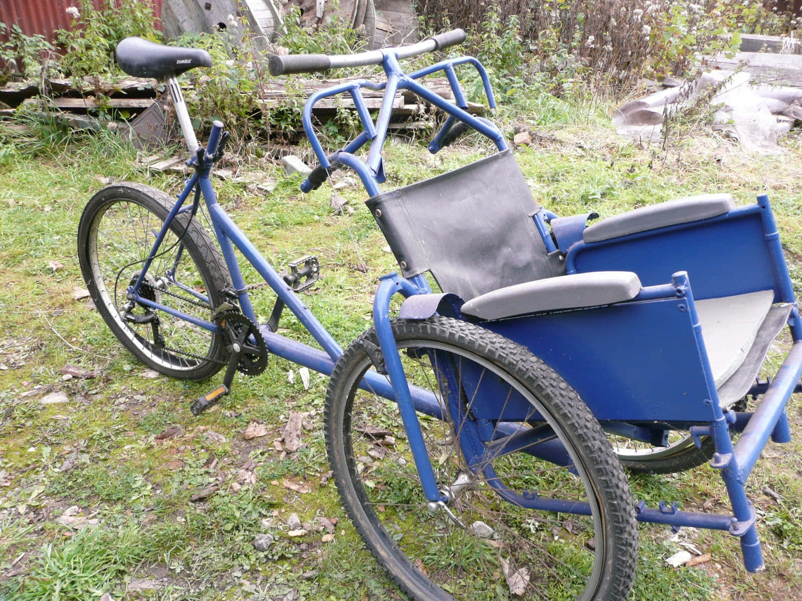 Bicycle 桌布 壁紙 — 一輛藍色三輪車，後座設有乘客座位，停放在草地上，附近有茂密的樹葉和一個紅色棚屋。