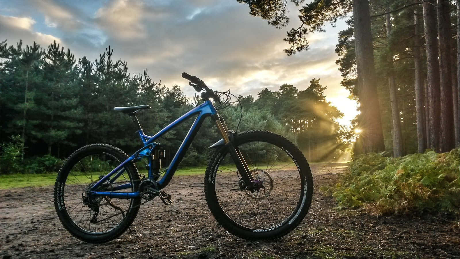 Bikes 桌布 壁紙 — 一輛藍色登山自行車停在森林小徑上，金色夕陽穿過高大的樹木灑落下來。