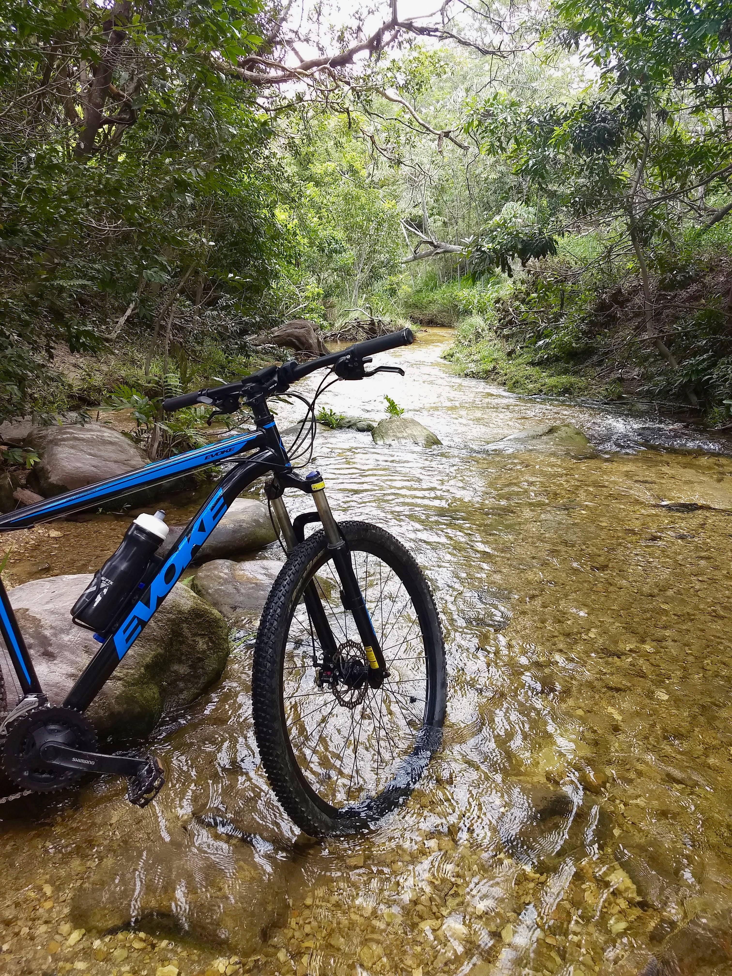 Mountain Bike 桌布 壁紙 — 一輛藍色登山車停放在淺淺的森林溪流中，周圍是茂密的綠色樹葉和長滿苔蘚的岩石。