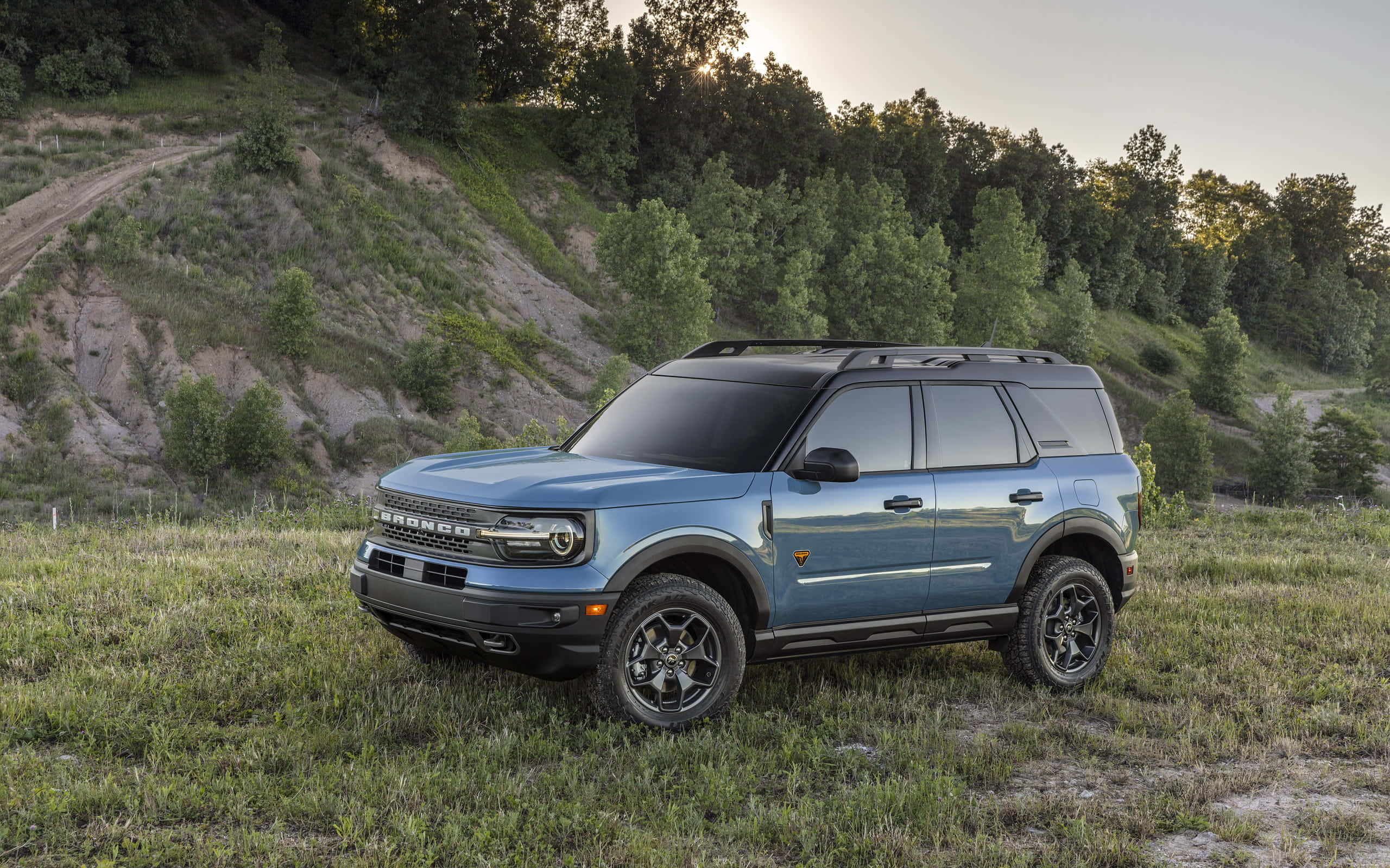 Ford Bronco 桌布 壁紙 — 一輛藍色福特Bronco SUV停在草地上，背景有樹木和一條泥土路，上方是柔和的日落天空。