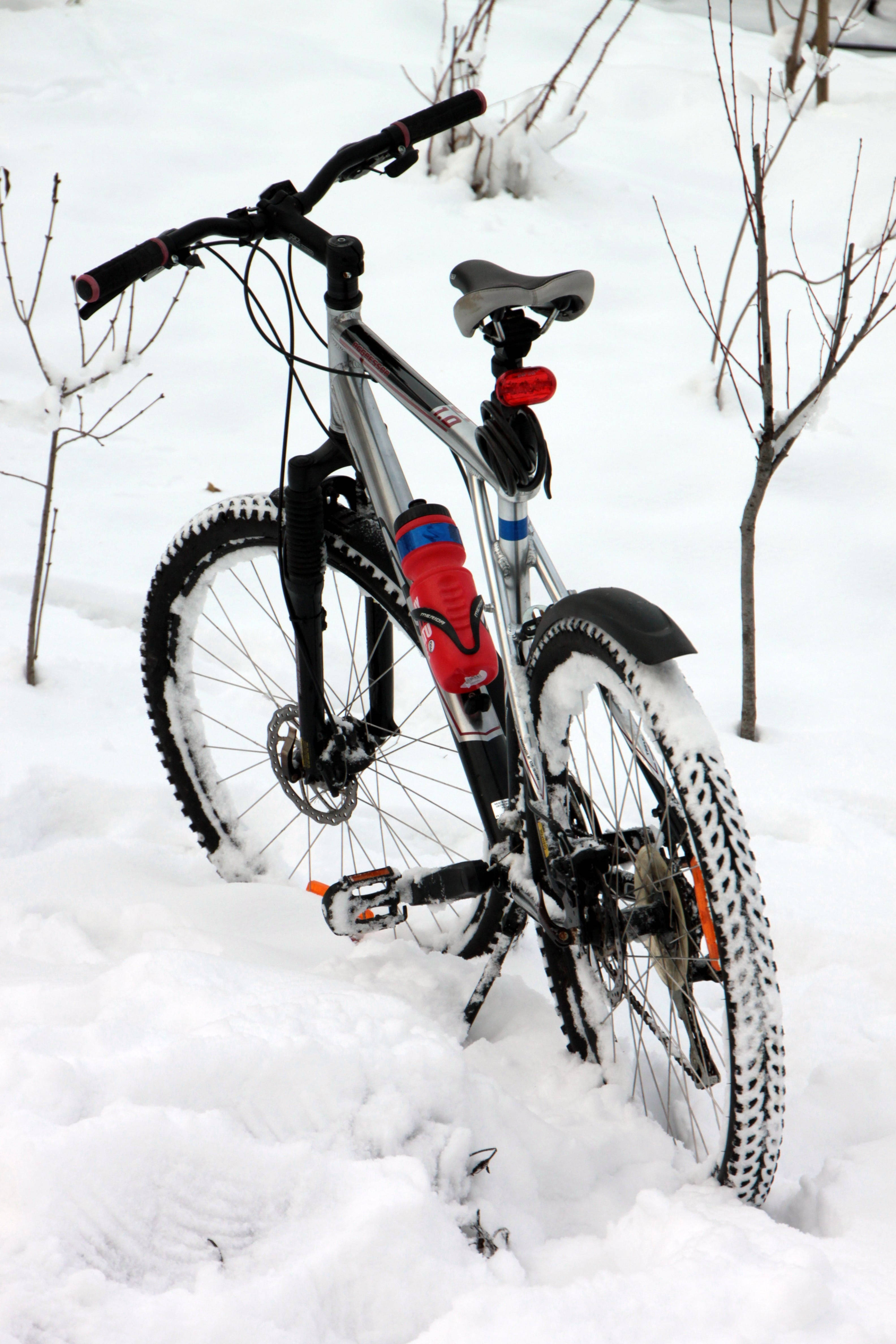 Mountain Bike 桌布 壁紙 — 一輛被新雪覆蓋的登山車，被遺棄在一個有光禿樹枝的寧靜冬季庭院中。