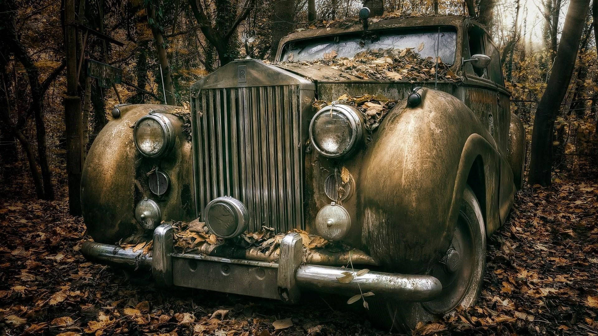 classic 桌布 壁紙 — 一輛被遺棄的復古汽車被樹葉覆蓋，遺忘在茂密的秋林中。