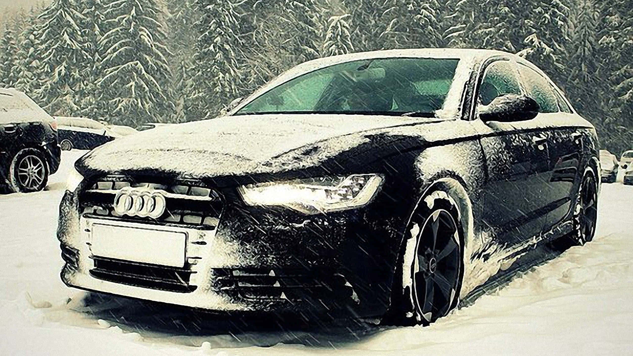 奧迪 桌布 壁紙 — 一輛覆蓋著新雪的黑色奧迪轎車停在雪地森林中，正值暴風雪，雪花飄落。