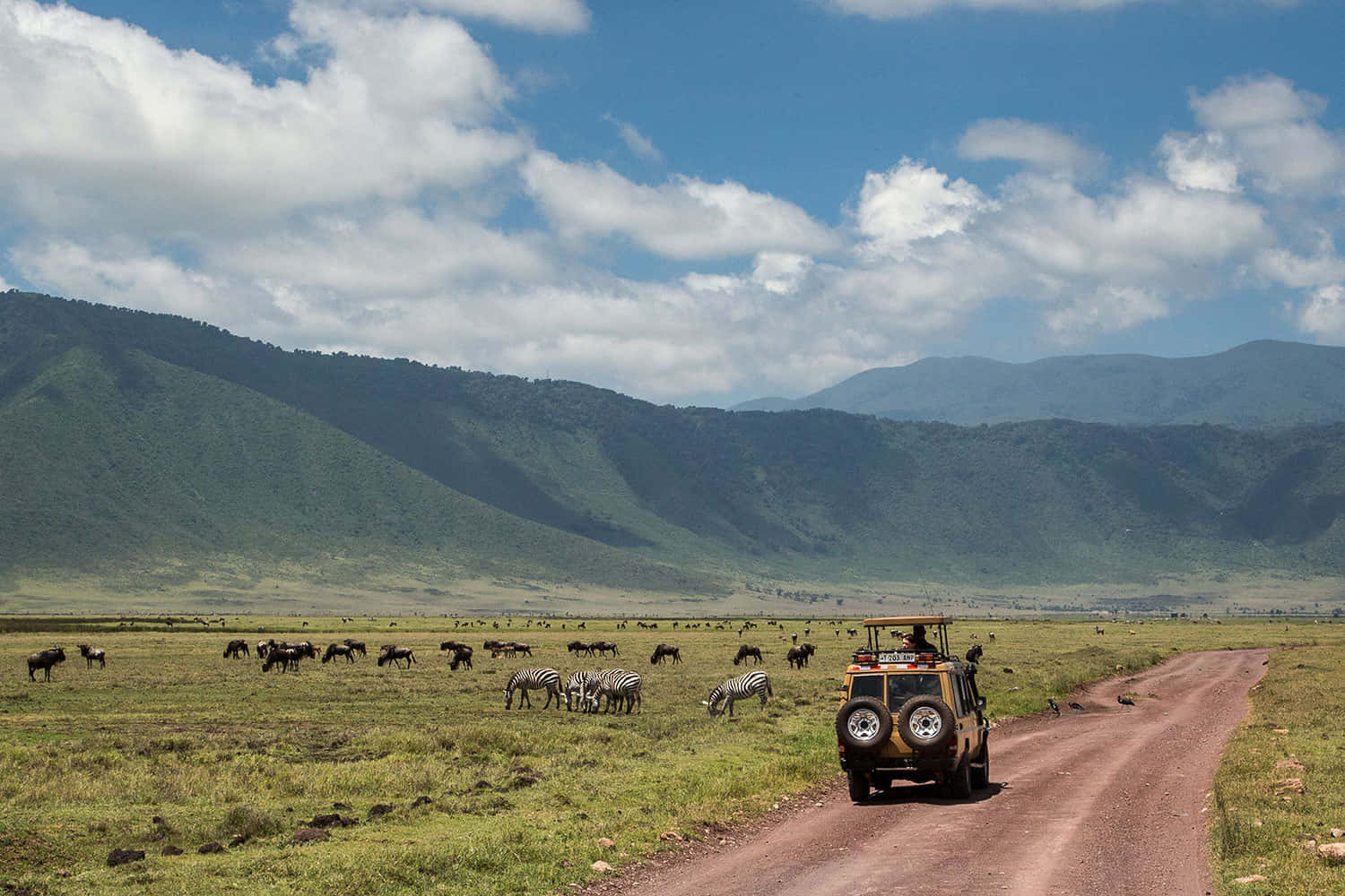 Tanzania 桌布 壁紙 — 一輛越野車沿著一條土路行駛，穿過廣闊的綠色稀樹草原，草原上散佈著吃草的斑馬和遠處連綿起伏的山丘，頭頂是明亮的藍天和蓬鬆的白雲。