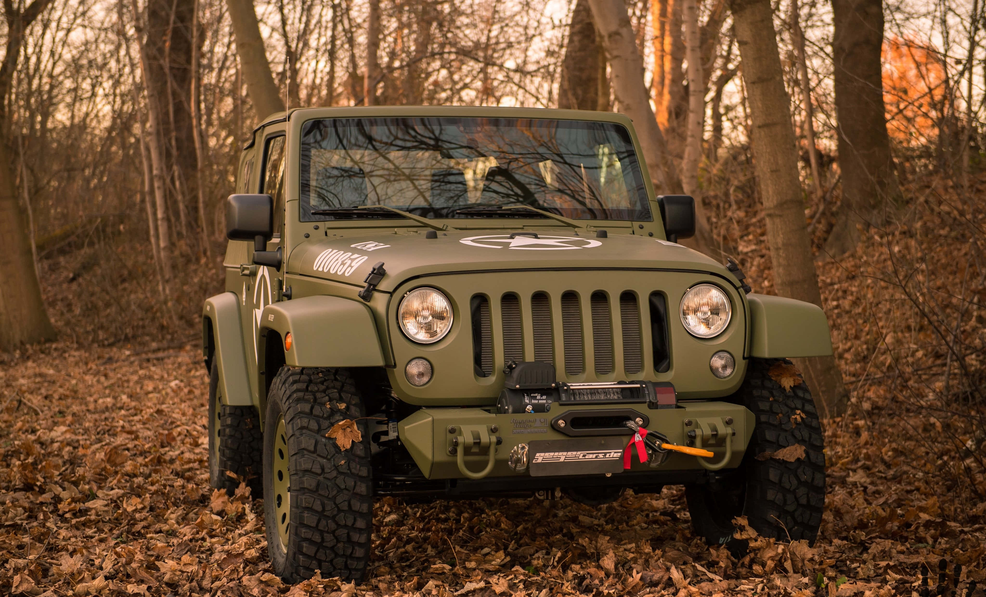 Jeep Willys 桌布 壁紙 — 一輛軍綠色的Jeep Wrangler停放在鋪滿秋日落葉的森林中，沐浴在溫暖的金色光線下。