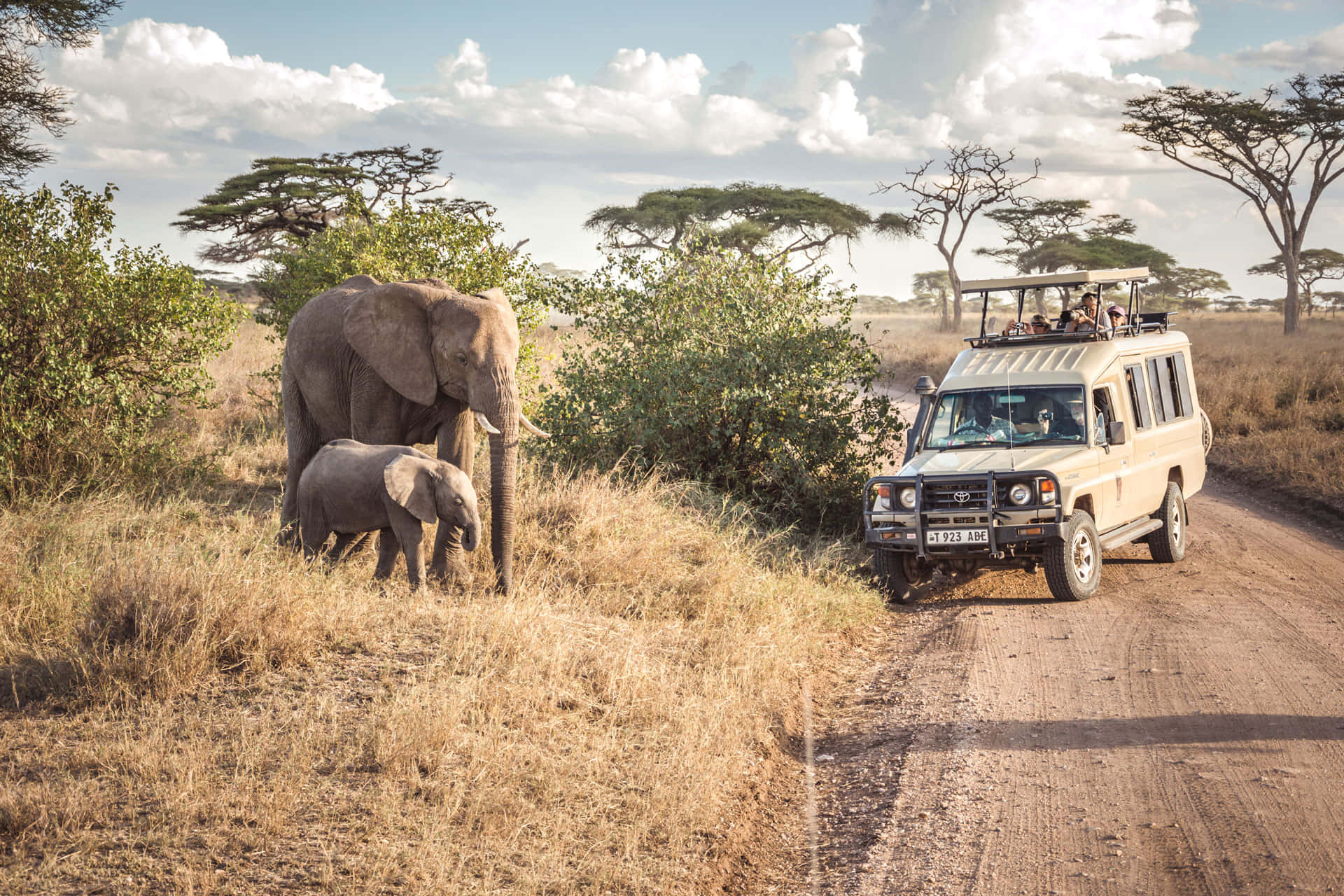 Tanzania 桌布 壁紙 — 一輛載有遊客的狩獵吉普車觀察到一對大象媽媽和寶寶在部分多雲的天空下，靠近金合歡樹吃草。