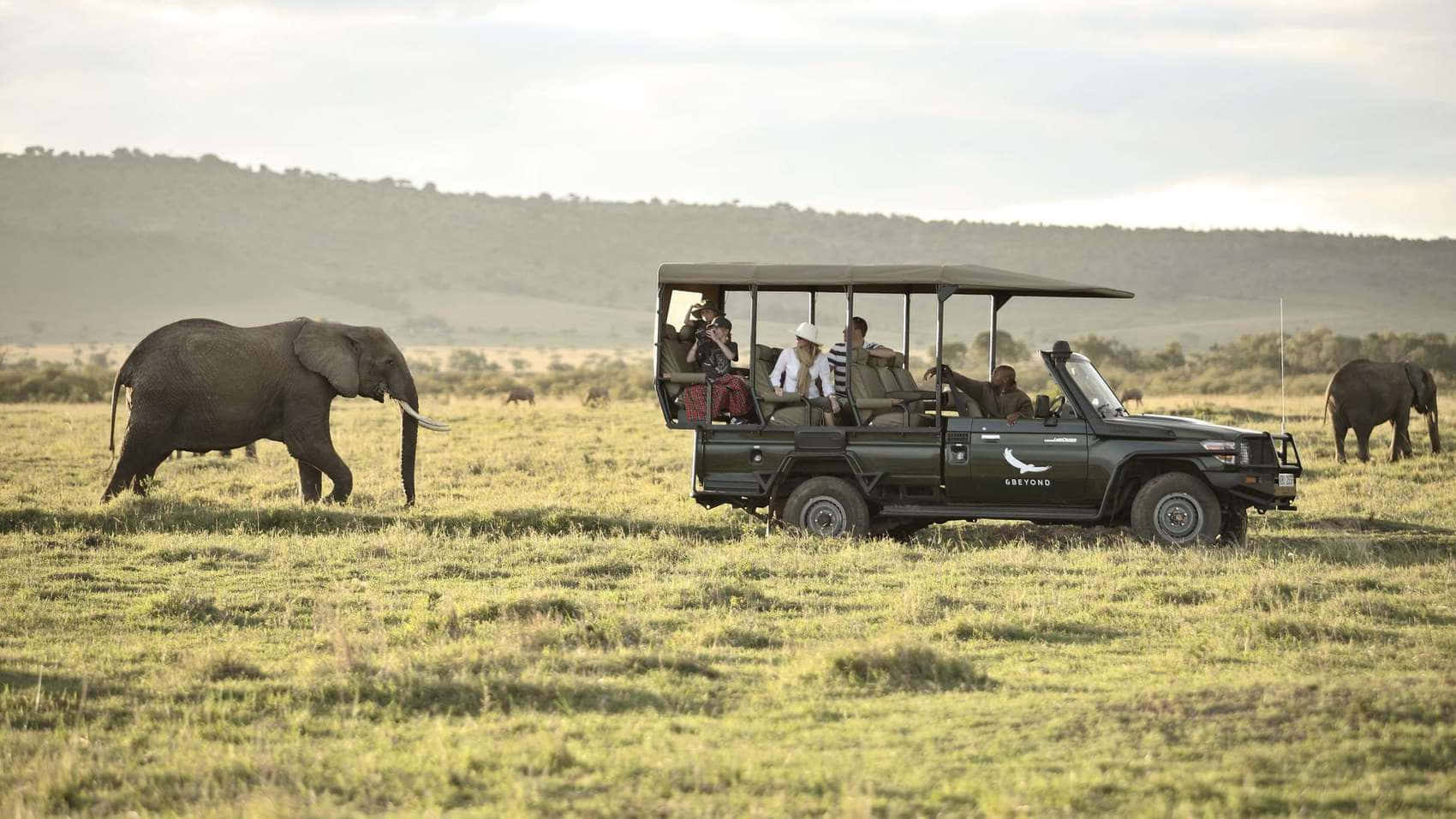 Kenya 桌布 壁紙 — 一輛載有遊客的野生動物園吉普車，在柔和天空下觀察金色草原上吃草的大象。