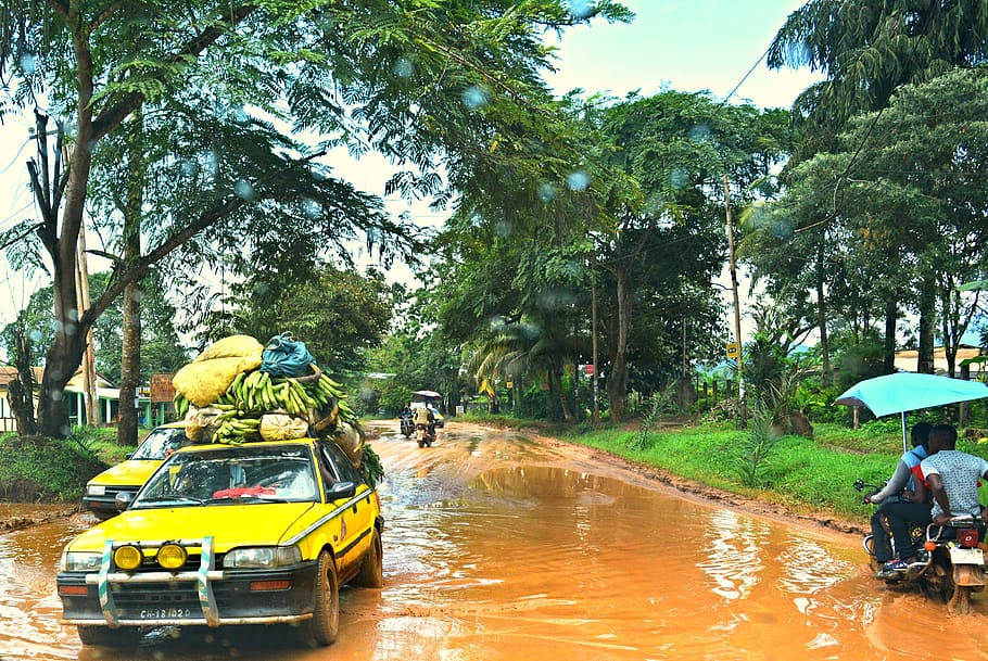 Road 桌布 壁紙 — 一輛載滿香蕉的黃色汽車在泥濘的鄉村道路上涉水而行，一輛撐著雨傘的摩托車駛過。
