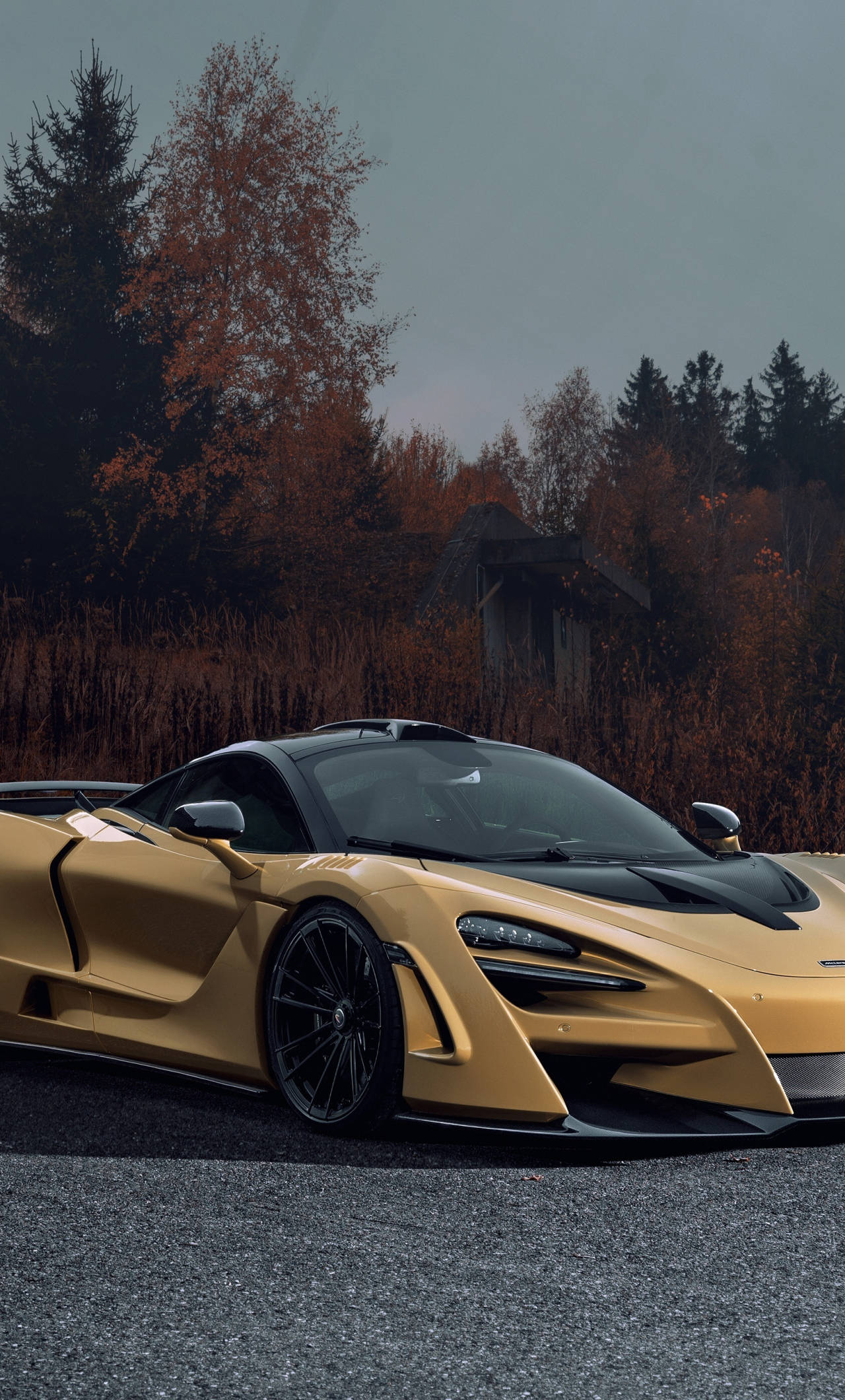跑車 桌布 壁紙 — 一輛金色McLaren跑車停在柏油路上，背景有秋天的樹木和霧中的小屋。